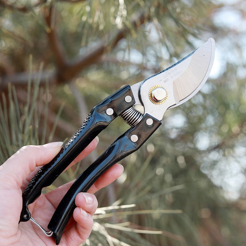 专业园林工具果树修枝剪果园农用工具省力粗枝剪刀铝合金树枝剪子详情图3