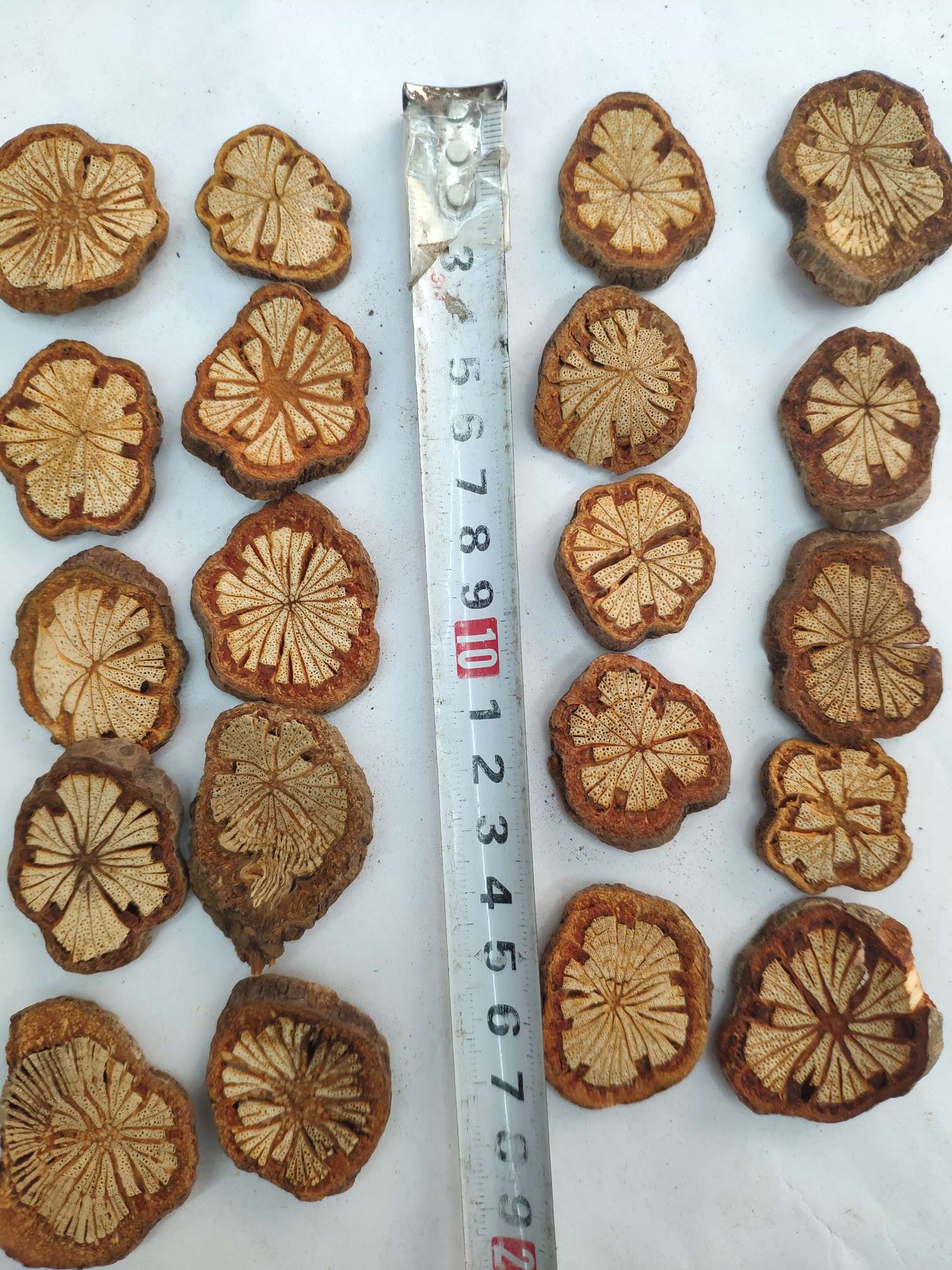 Yiwu Yueyang dried flowers, preserved flowers, flower and tree slices, handicrafts, accessories, diy design and production, decoration, starry sky rose, artificial flowers, pressed flowers, scented candles, photo frames, oil paintings, cards, gift boxes, wedding photography, Christmas gift boxes, wedding Specification image