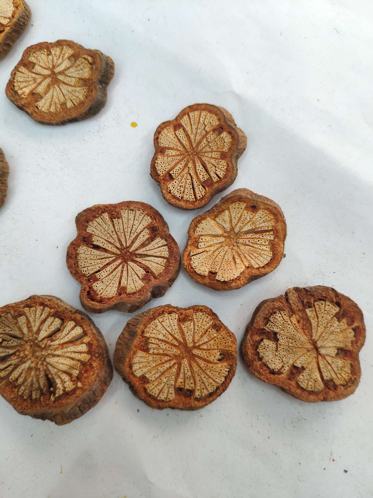 Yiwu Yueyang dried flowers, preserved flowers, flower and tree slices, handicrafts, accessories, diy design and production, decoration, starry sky rose, artificial flowers, pressed flowers, scented candles, photo frames, oil paintings, cards, gift boxes, wedding photography, Christmas gift boxes, wedding details Picture