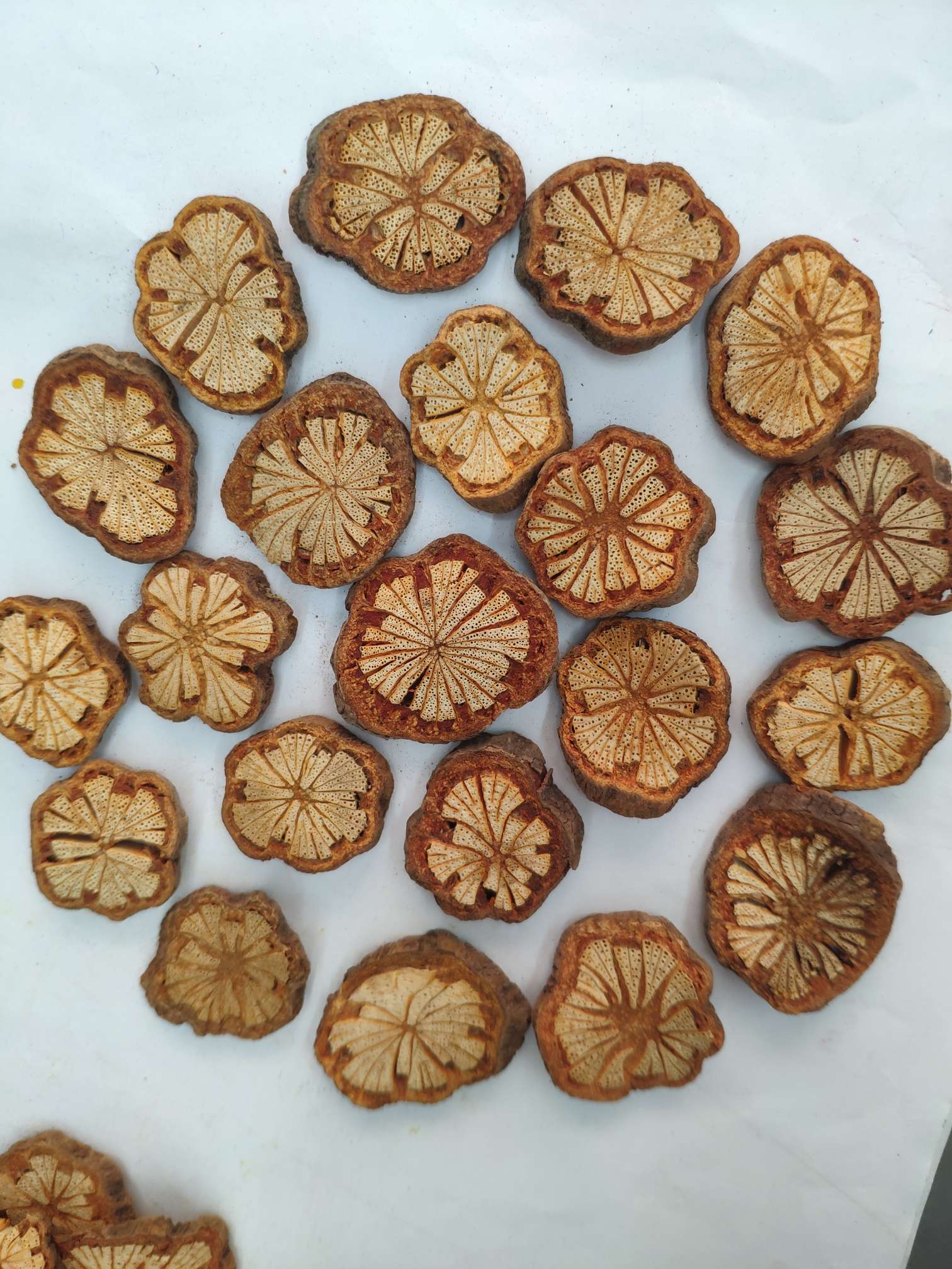 Yiwu Yueyang dried flowers, preserved flowers, flower and tree slices, handicrafts, accessories, diy design and production, decoration, starry sky rose, artificial flowers, pressed flowers, scented candles, photo frames, oil paintings, cards, gift boxes, wedding photography, Christmas gift boxes, wedding Application Scenario