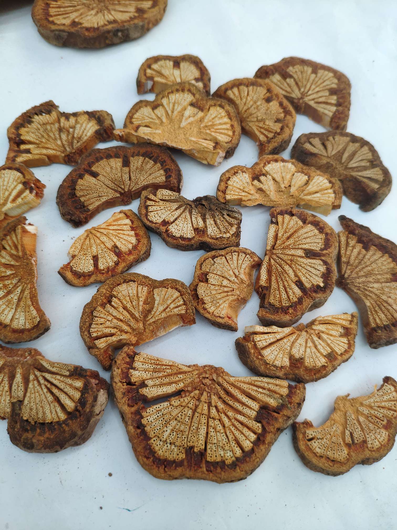 Yiwu Yueyang dried flowers, preserved flowers, flower and tree slices, handicrafts, accessories, diy design and production, decoration, starry sky rose, artificial flowers, pressed flowers, scented candles, photo frames, oil paintings, cards, gift boxes, wedding photography, Christmas gift boxes, wedding detail image 7