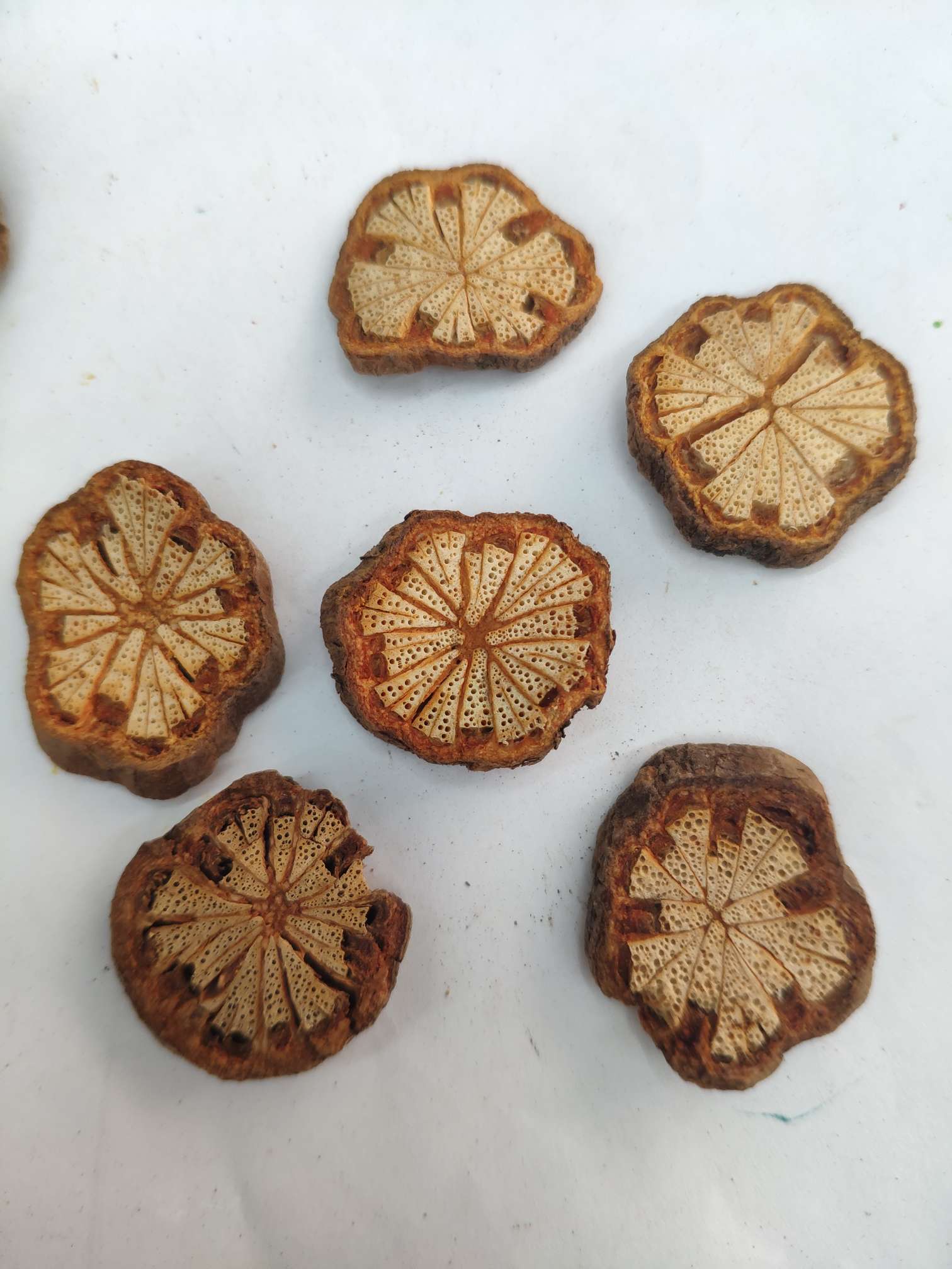 Yiwu Yueyang dried flowers, preserved flowers, flower and tree slices, handicrafts, accessories, diy design and production, decoration, starry sky rose, artificial flowers, pressed flowers, scented candles, photo frames, oil paintings, cards, gift boxes, wedding photography, Christmas gift boxes, wedding Item Picture