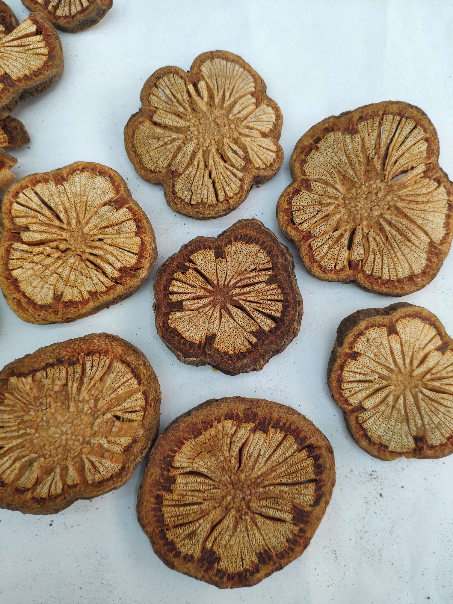 Yiwu Yueyang dried flowers, preserved flowers, flower and tree slices, handicrafts, accessories, diy design and production, decoration, starry sky rose, artificial flowers, pressed flowers, scented candles, photo frames, oil paintings, cards, gift boxes, wedding photography, Christmas gift boxes, wedding detail image 8