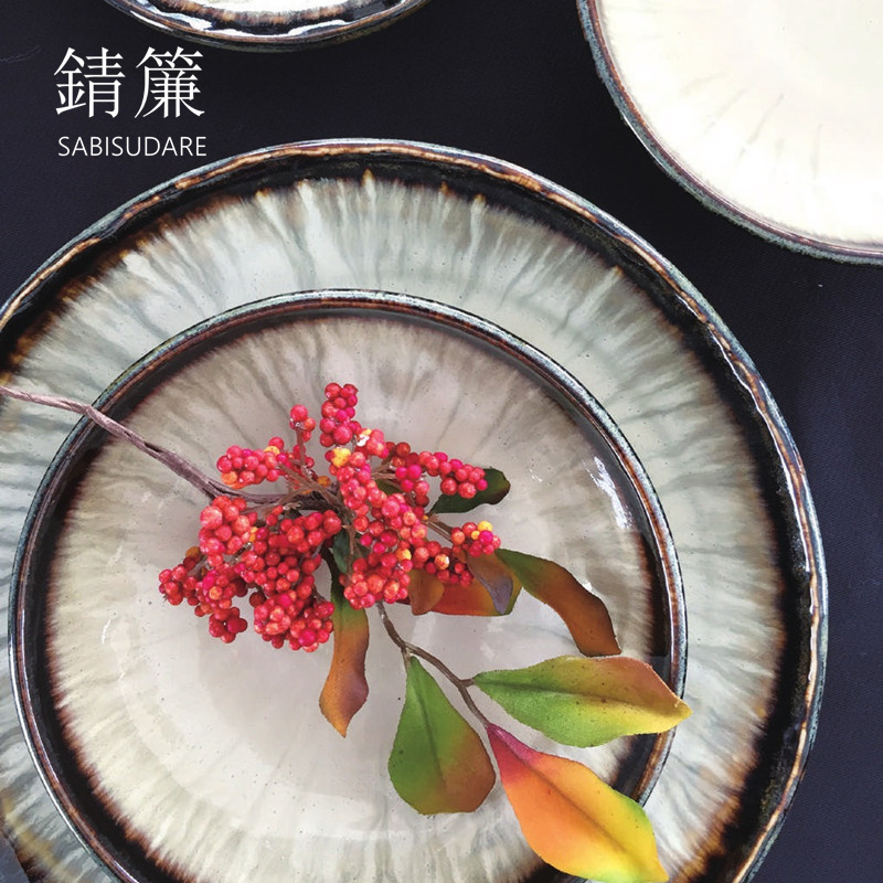 家庭超亮吸顶灯/欧普客厅灯/飞利浦灯具/客厅灯/硅胶灯产品图