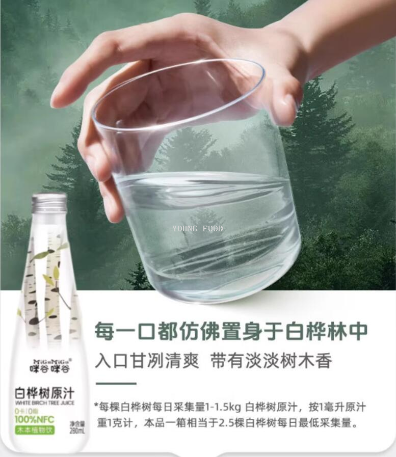 包邮！大兴安岭咪谷白桦树汁280ml 洋芙德YOUNG FOOD休闲零食饮料详情13