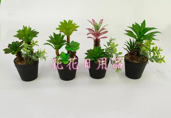 Artificial flower fake flower bonsai plastic pot multi-fleshy decoration thumbnail