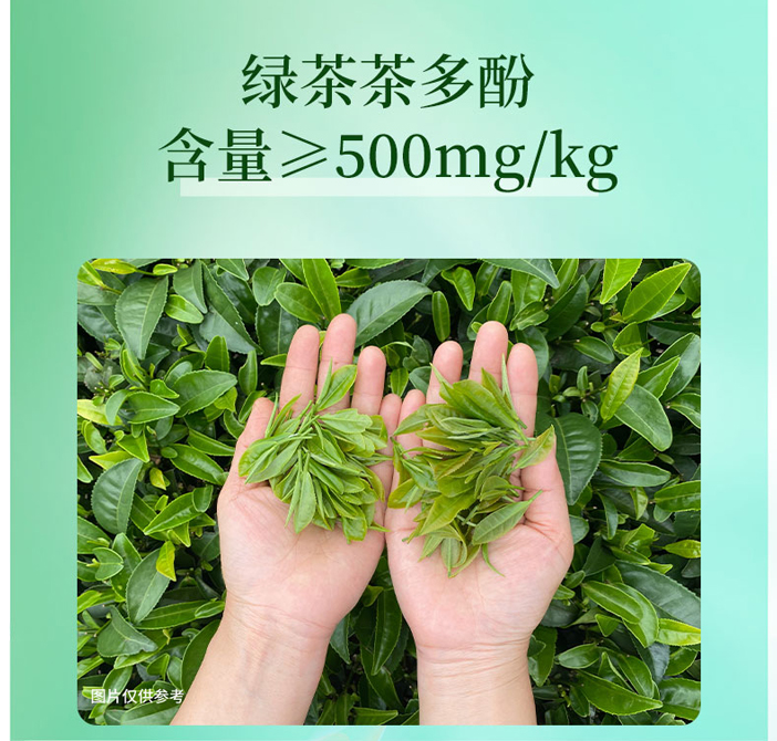 零批包邮休闲食品饮料三得利清茶绿茶饮料无蔗糖 500ml详情9