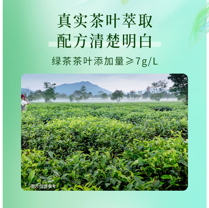 零批包邮休闲食品饮料三得利清茶绿茶饮料无蔗糖 500ml详情7