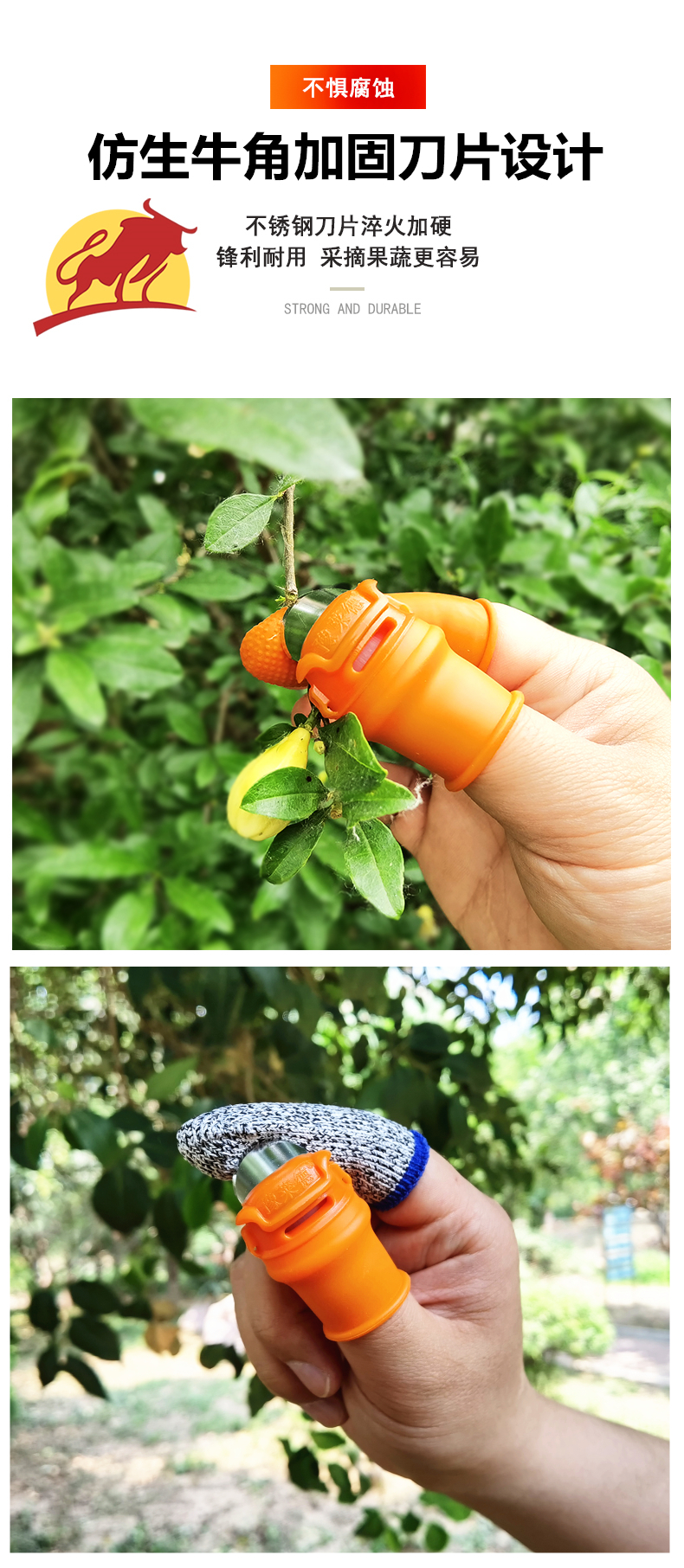 佰世园艺升级款拇指刀摘花椒摘菜神器农易摘豆角铁指甲剥蒜拇指刀详情5