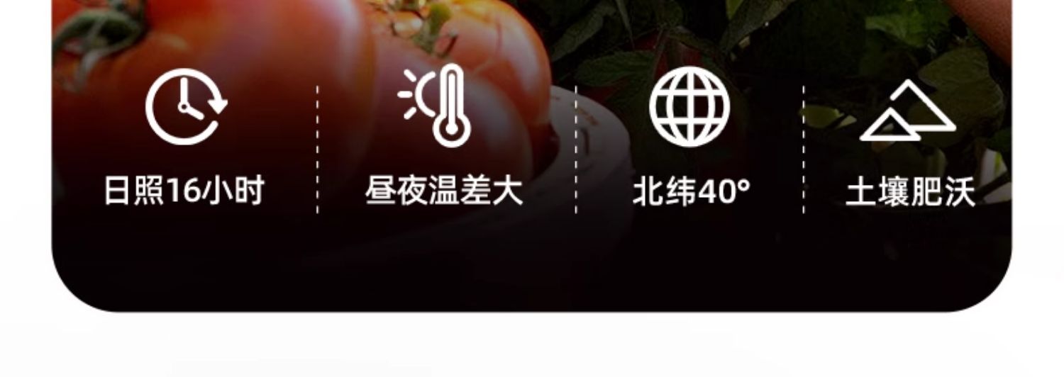 包邮！花田熊番茄沙司250g番茄酱详情7