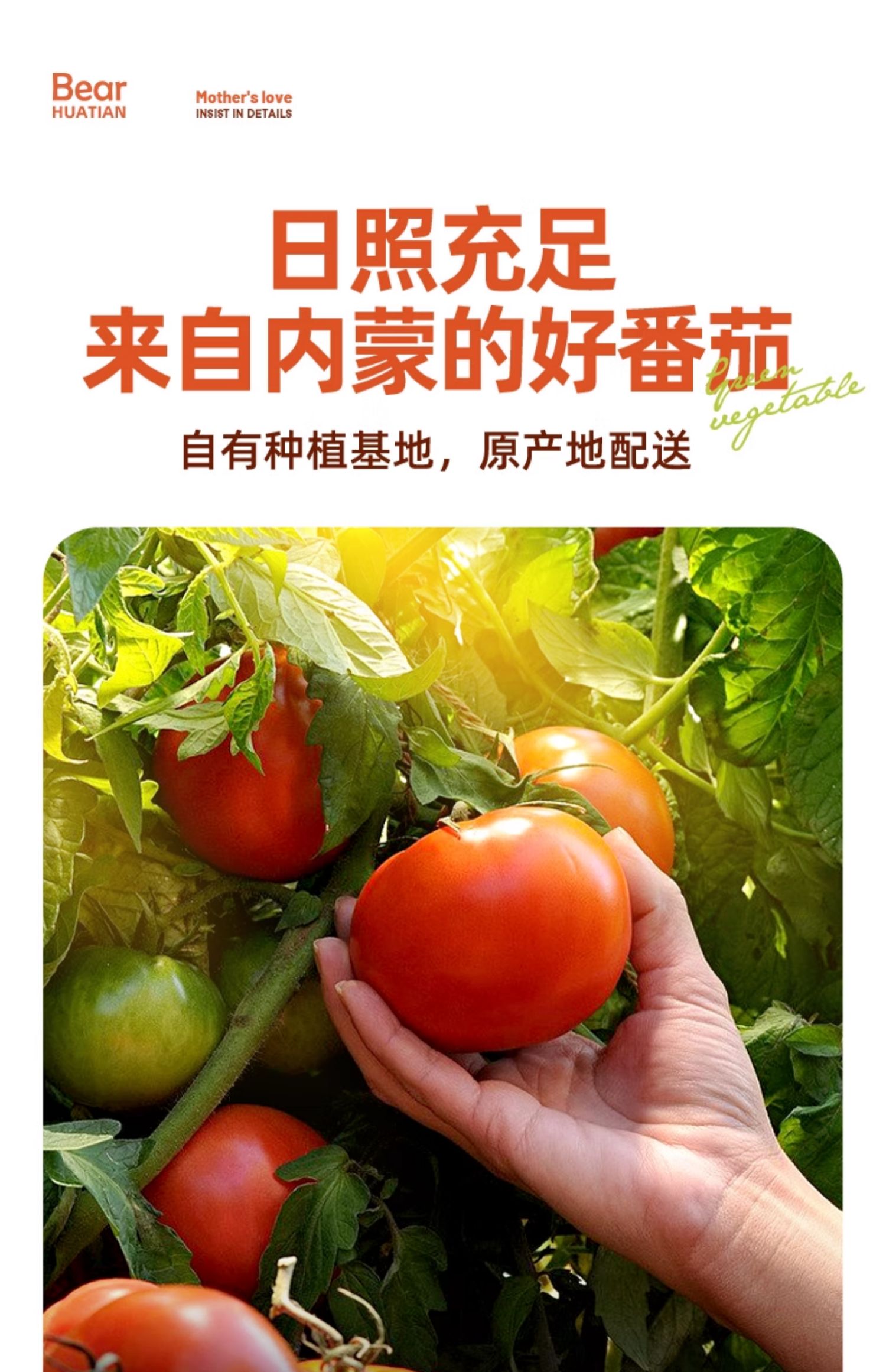 包邮！花田熊番茄沙司250g番茄酱详情6