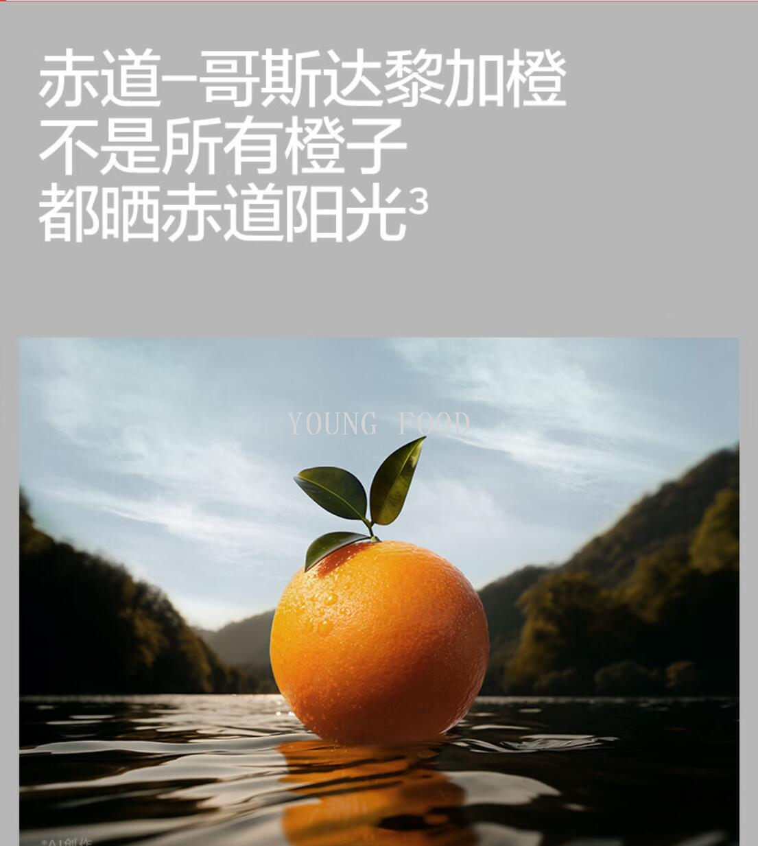 包邮！零食手办100%纯橙汁哥斯达黎加橙果汁 西梅120g详情10