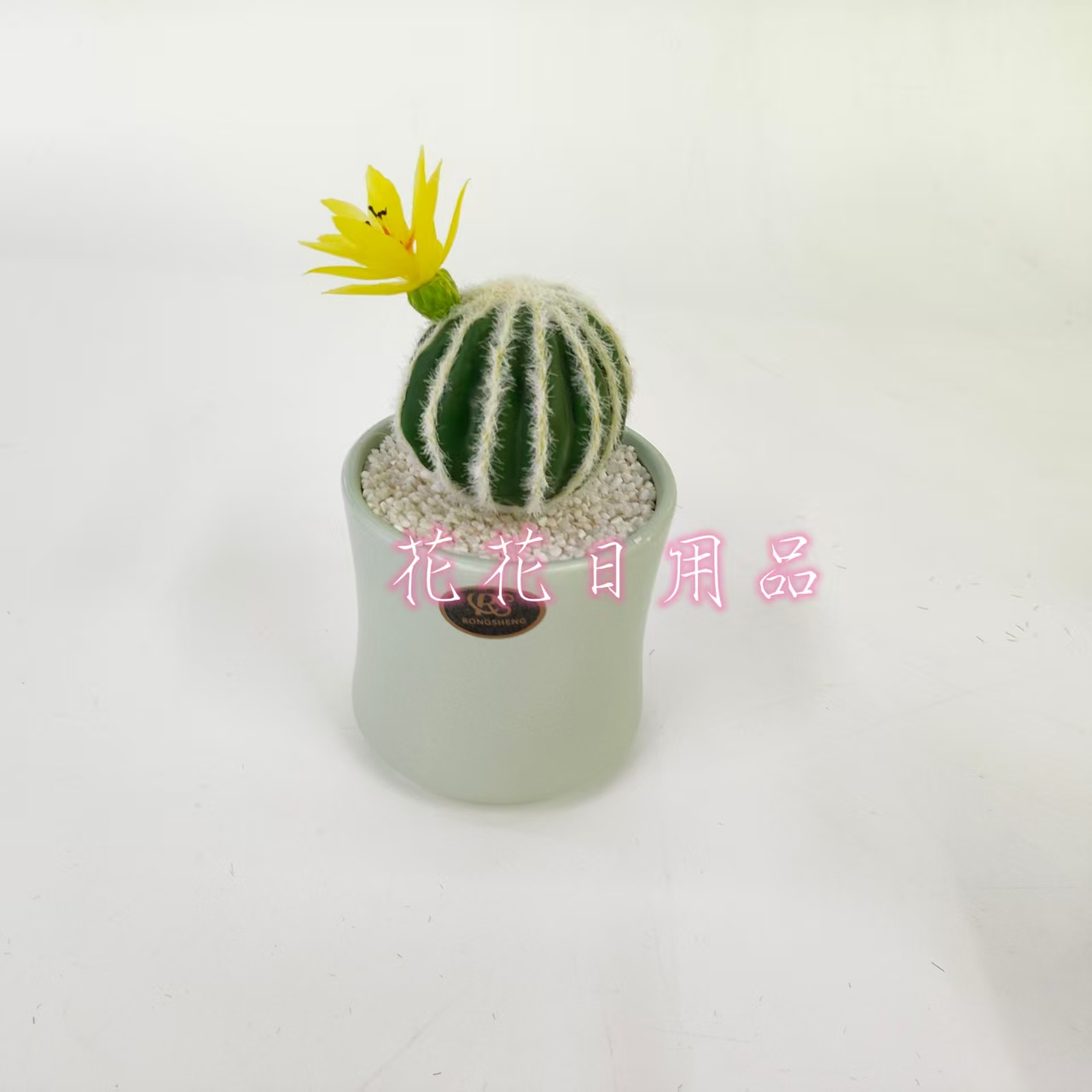 Artificial flower fake flower bonsai ceramic basin cactus decoration pieces Application Scenario