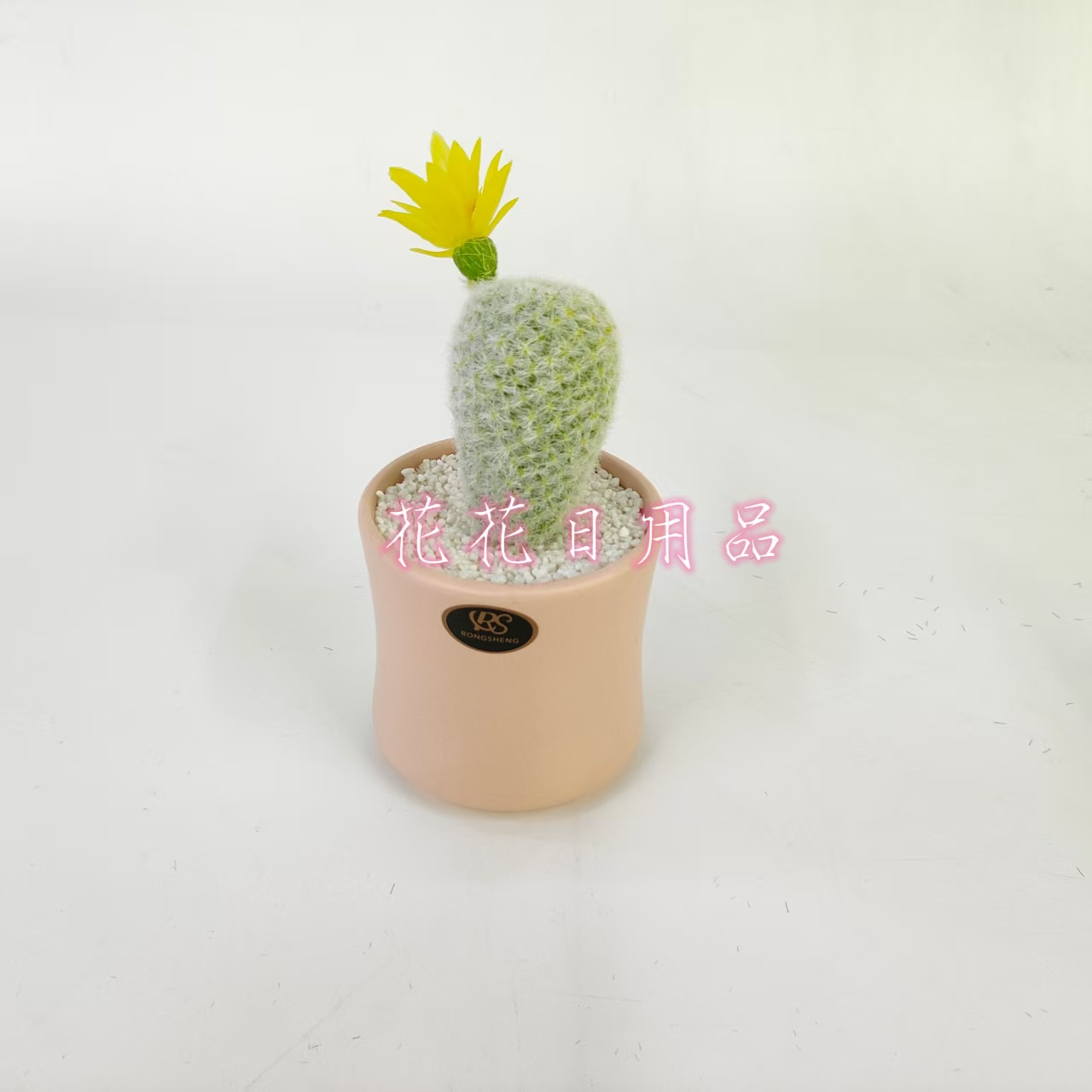 Artificial flower fake flower bonsai ceramic basin cactus decoration pieces Item Picture