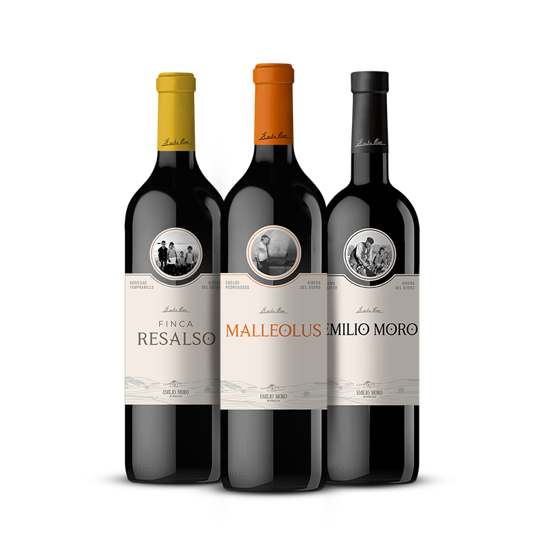 西班牙原瓶进口名庄FINCA RESALSO摩罗酒庄MALLEOLUS莫里 干红艾米红酒馚可瑞 葡萄酒高端送礼现货凯茜蕾