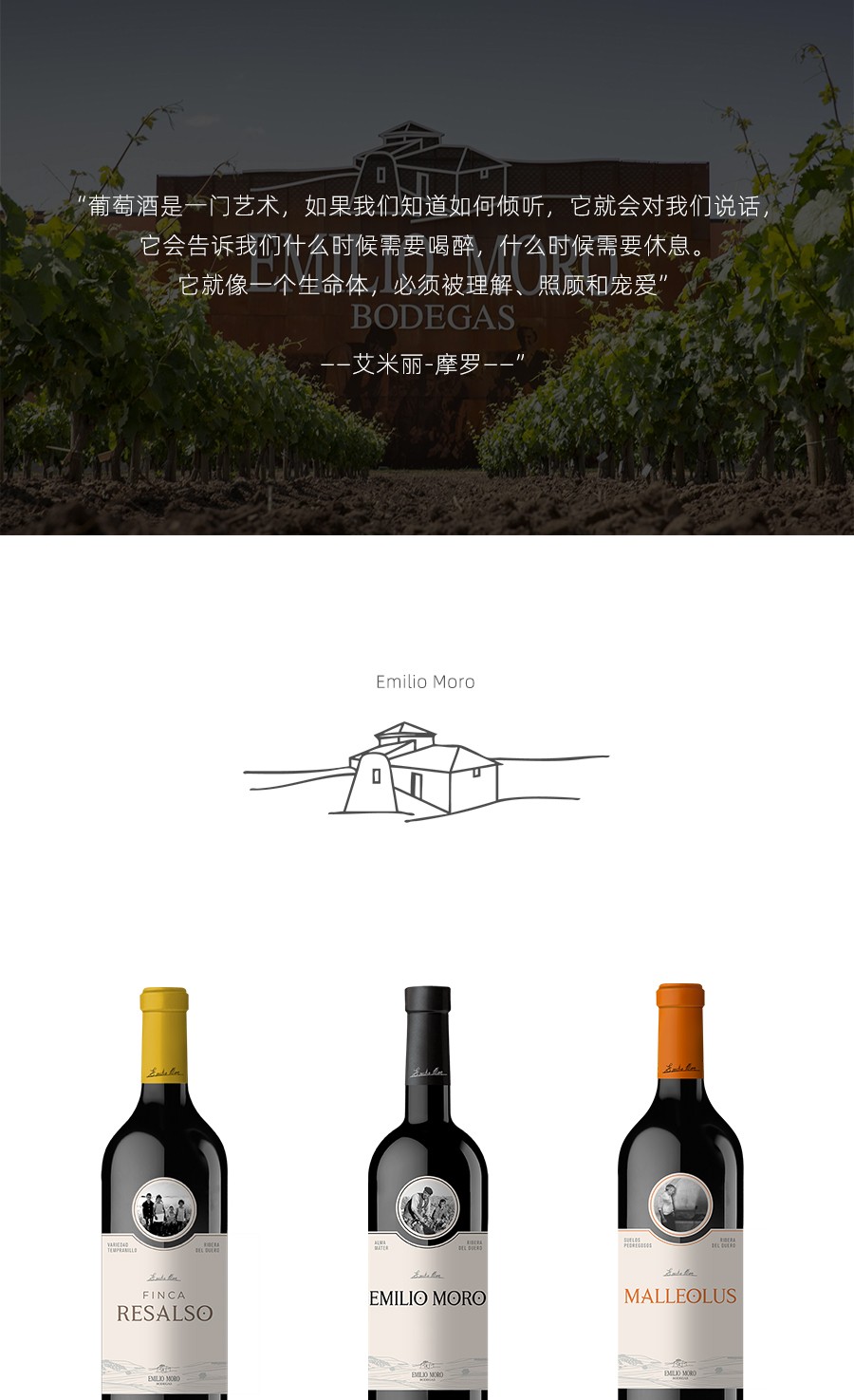 西班牙原瓶进口名庄FINCA RESALSO摩罗酒庄MALLEOLUS莫里 干红艾米红酒馚可瑞 葡萄酒高端送礼现货凯茜蕾详情3