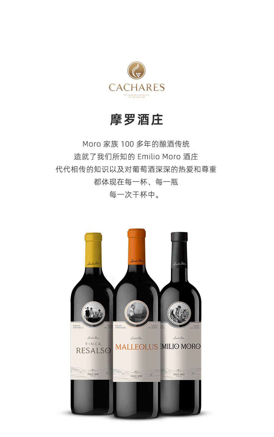 西班牙原瓶进口名庄FINCA RESALSO摩罗酒庄MALLEOLUS莫里 干红艾米红酒馚可瑞 葡萄酒高端送礼现货凯茜蕾详情1