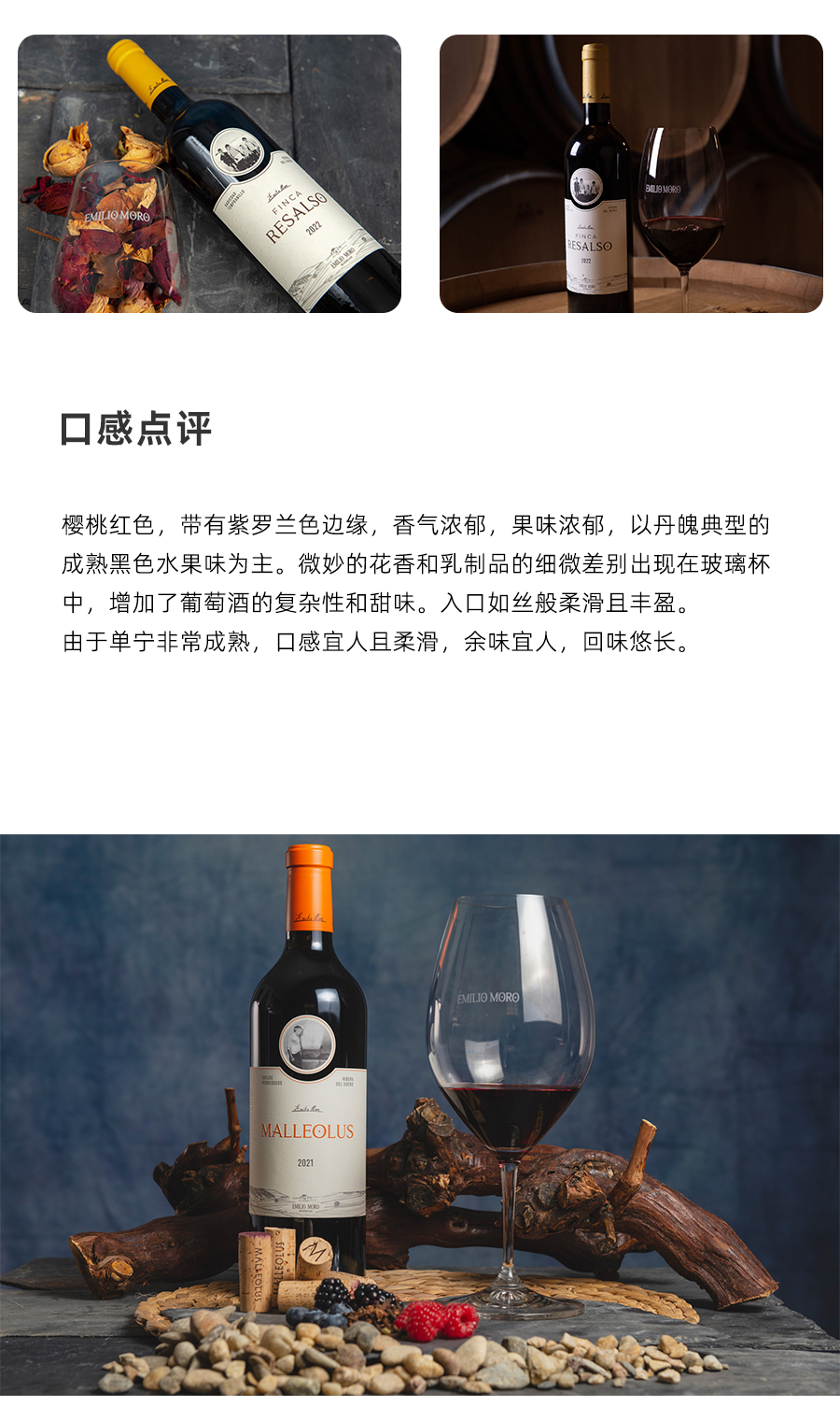 西班牙原瓶进口名庄FINCA RESALSO摩罗酒庄MALLEOLUS莫里 干红艾米红酒馚可瑞 葡萄酒高端送礼现货凯茜蕾详情8