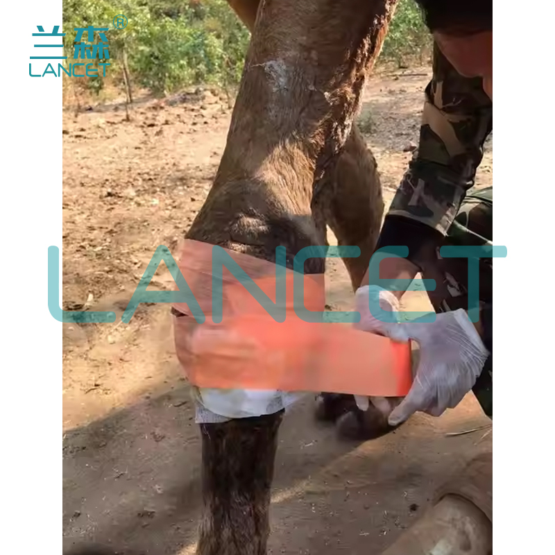 Self-adhesive bandages for pets, dogs, animals, non-woven fabric, elastic and stretch-resistant outdoor camouflage bandages in stock Application Scenario