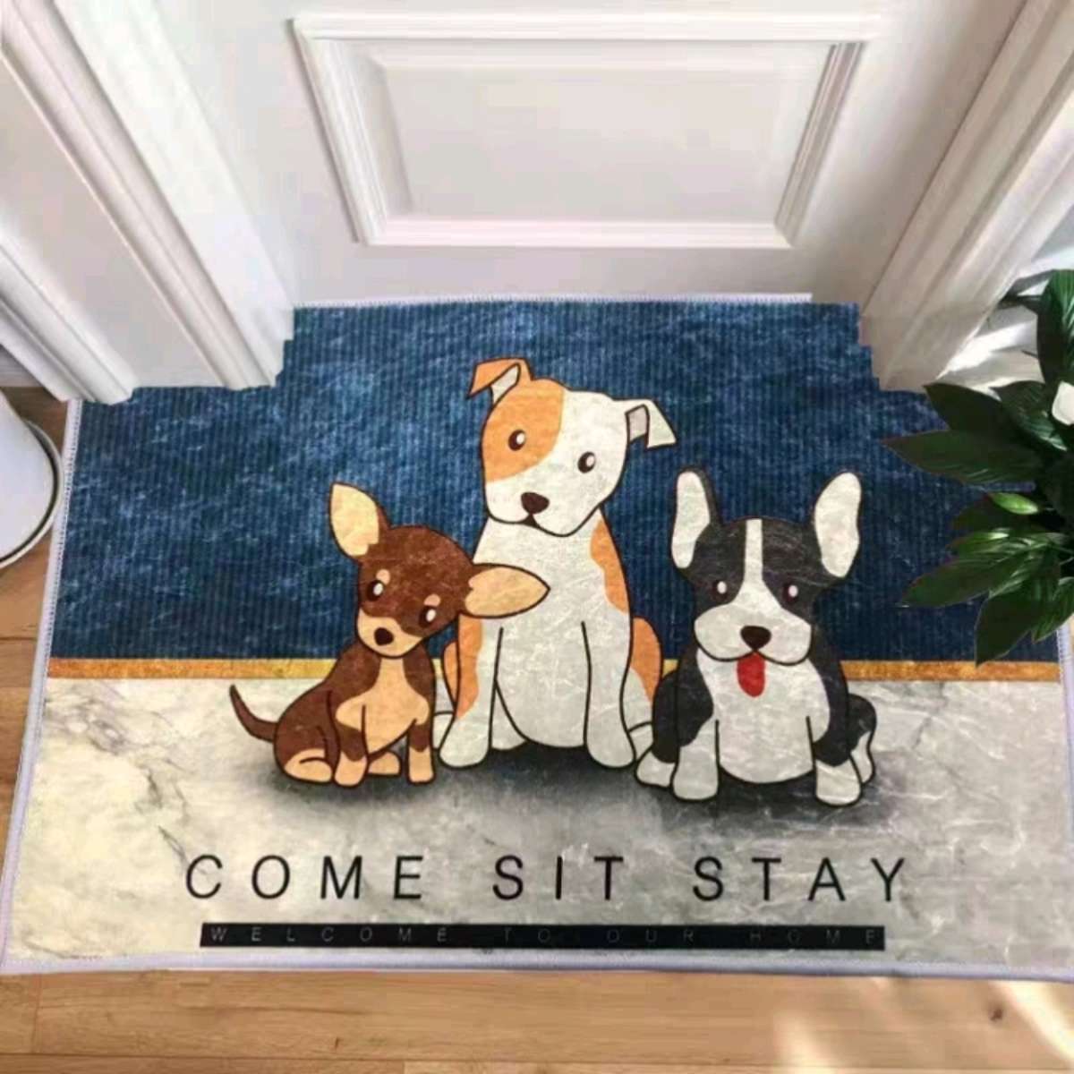 60*90 cartoon carpet door mat, gold diamond fleece dust-proof and washable carpet for entering and leaving the main door, anti-slip floor mat for entering the house