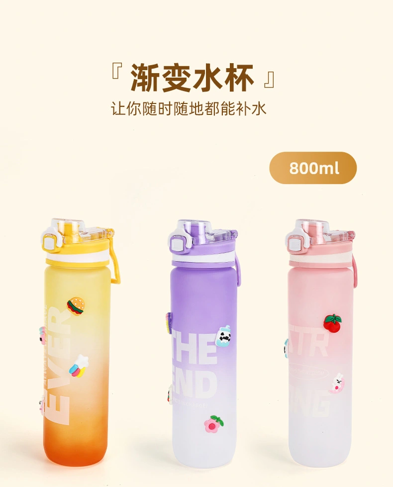 H164-HY-089 gradient color water cup, cross-border high-temperature resistant frosted direct drinking creative portable trendy water cup for men and women detail image 5