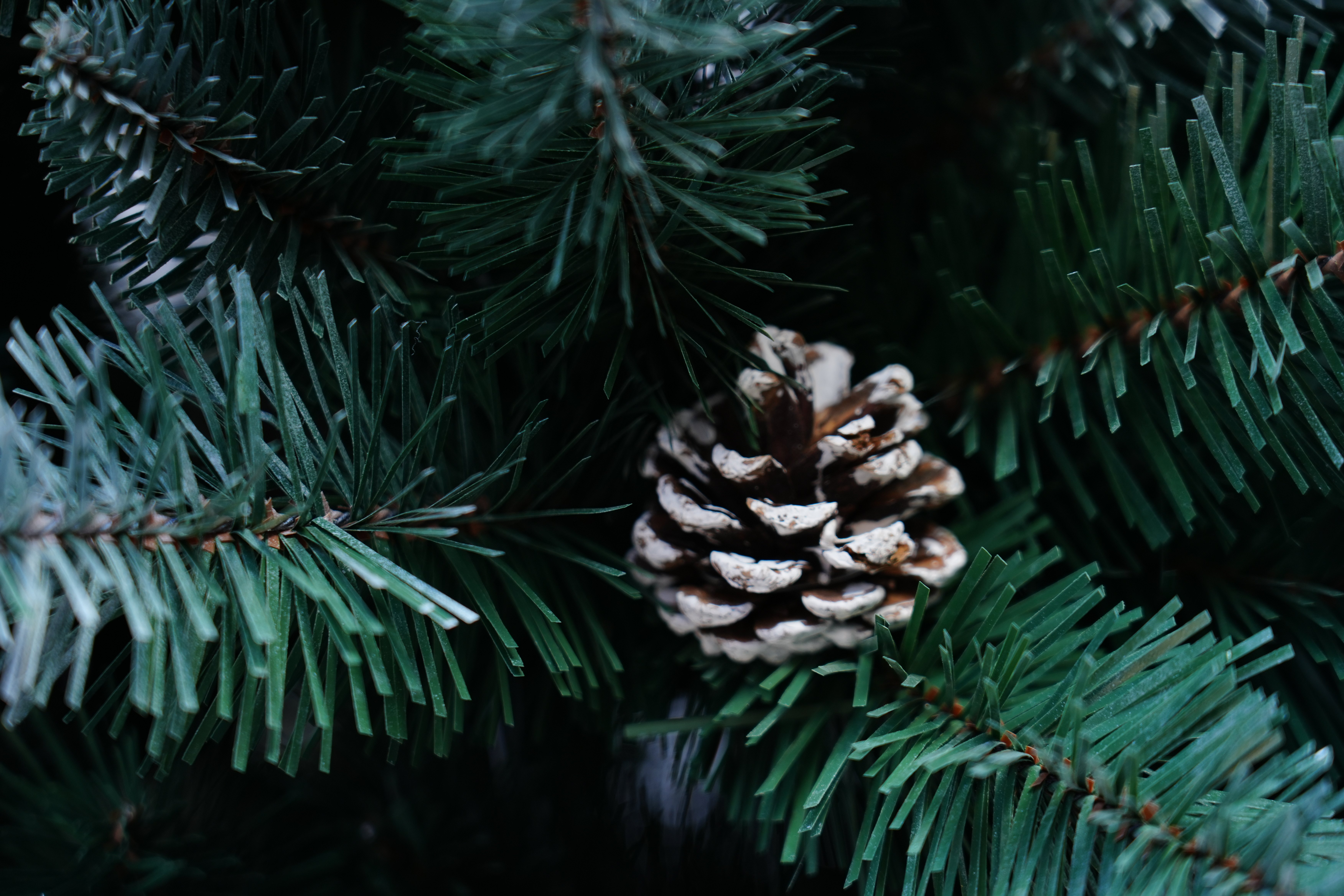 圣诞树/圣诞树松针/圣诞工艺品/圣诞球植绒挂件/圣诞丽丽细节图