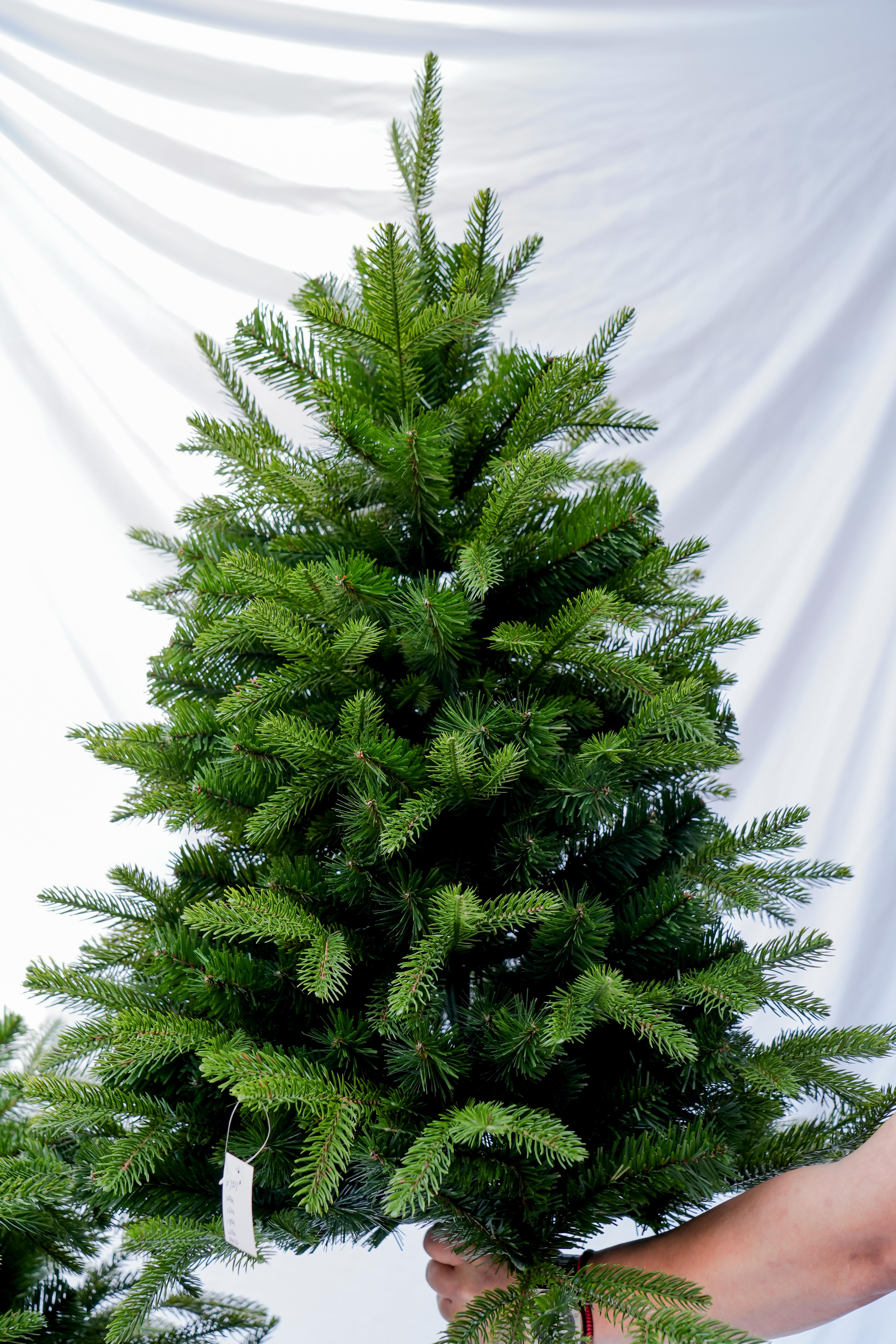 The 2025 new PE large encrypted 1.5-meter scene decoration Christmas green large 1.8-meter Christmas tree Application Scenario