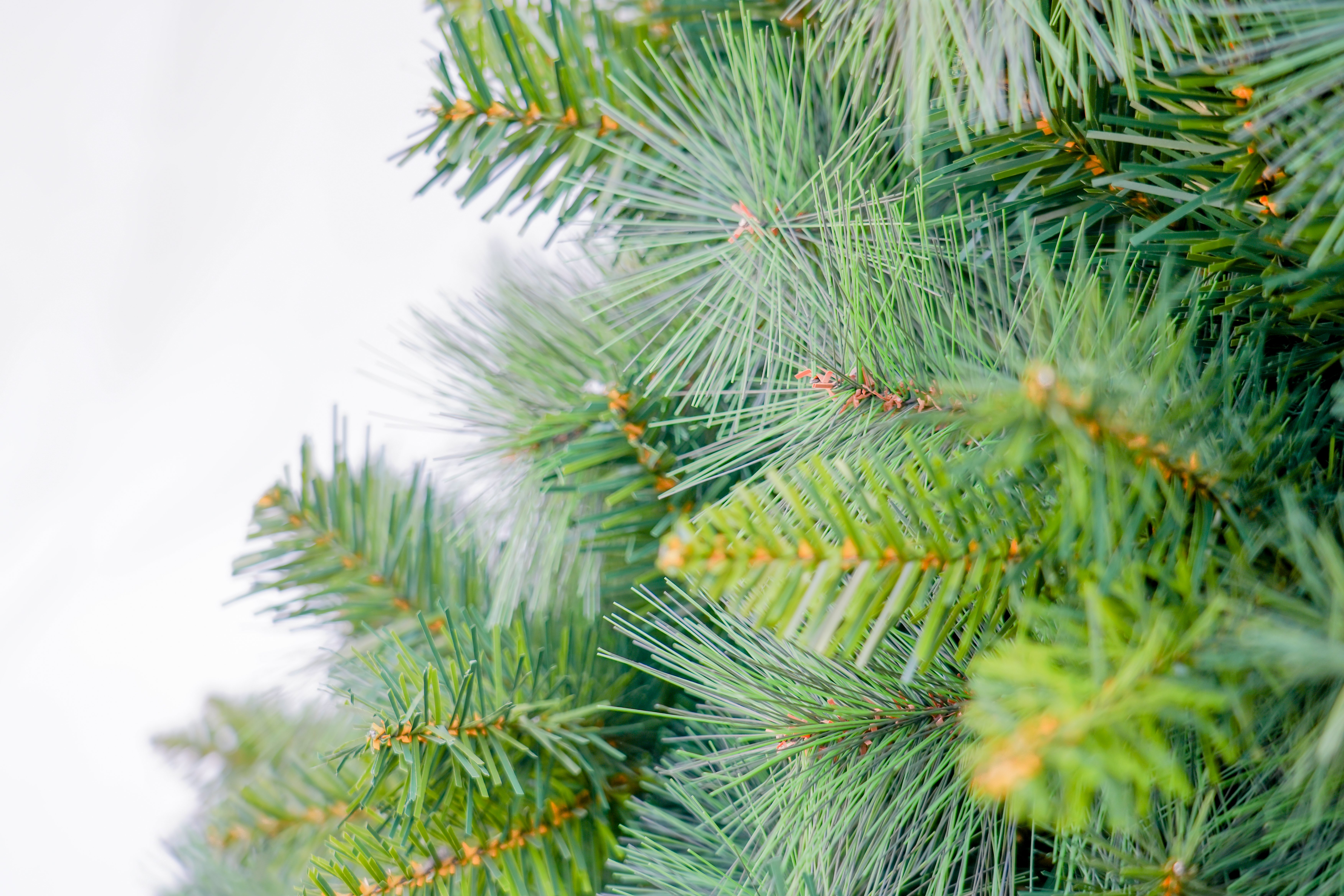 2025 New style PET pine needle mixed PVC Christmas tree, luxurious simulation encrypted Christmas tree, Christmas scene arrangement Specification image