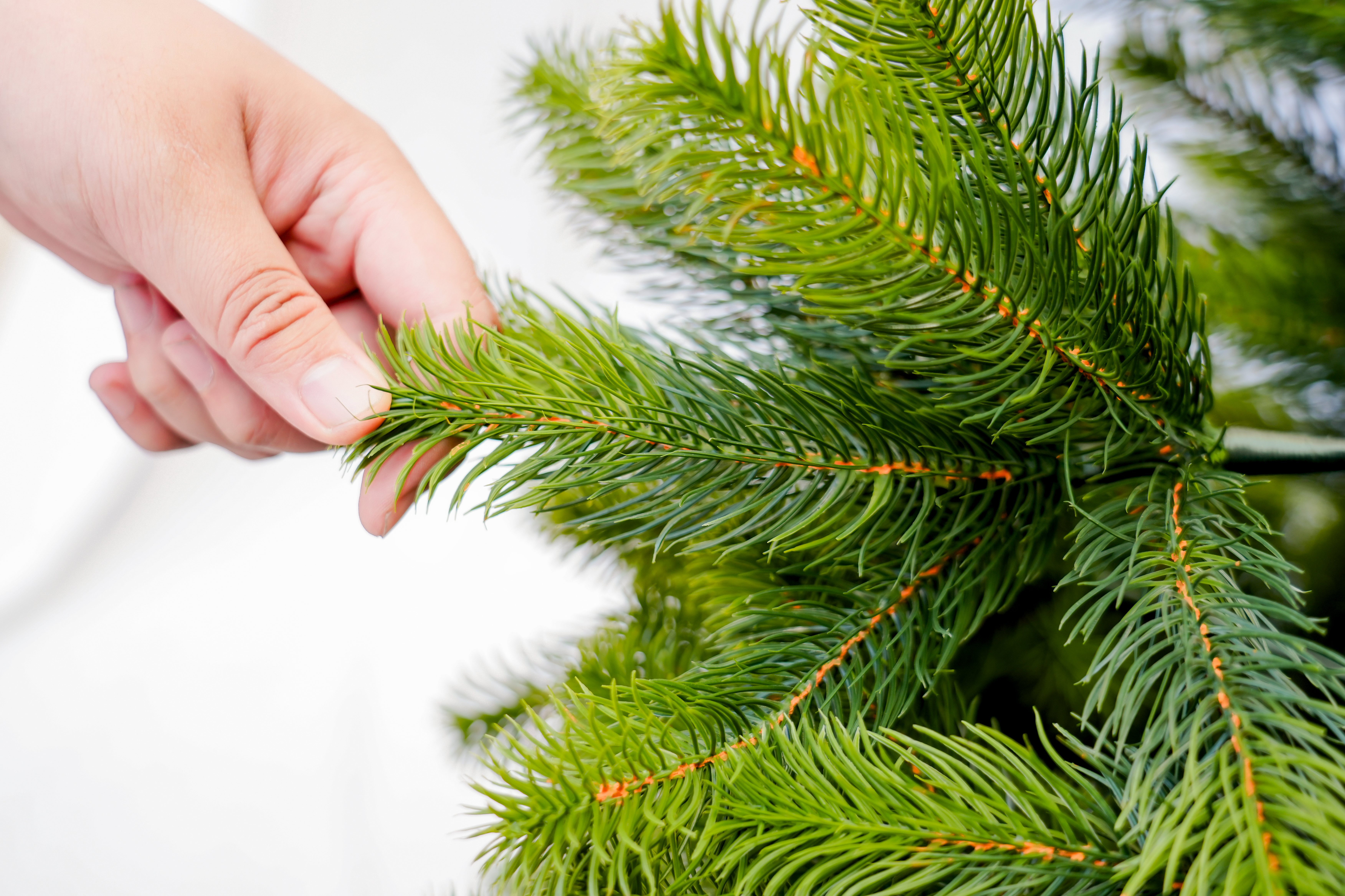 圣诞树/圣诞树松针/圣诞工艺品/圣诞球植绒挂件/圣诞丽丽产品图