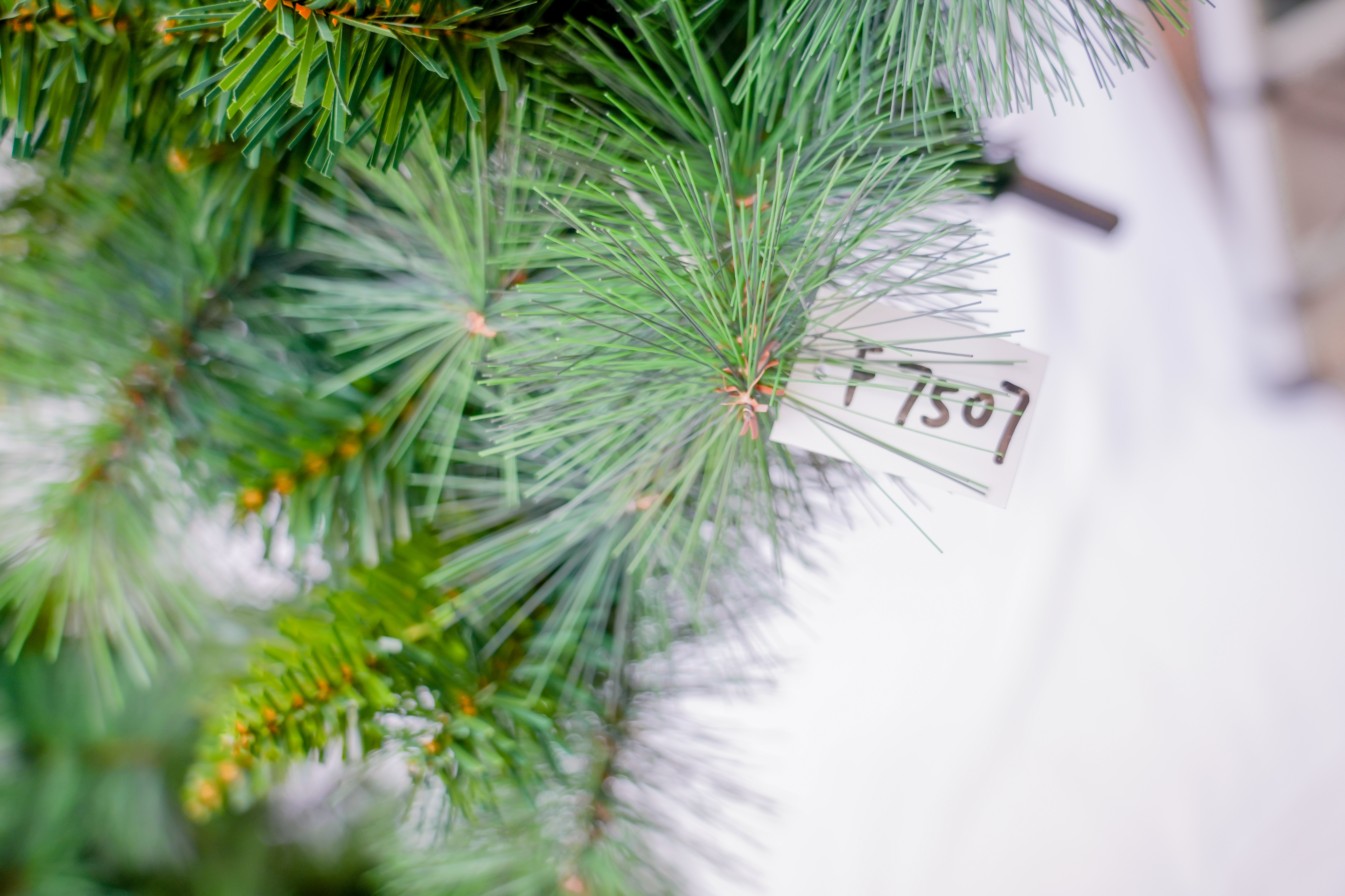 2025 New style PET pine needle mixed PVC Christmas tree, luxurious simulation encrypted Christmas tree, Christmas scene arrangement Application Scenario