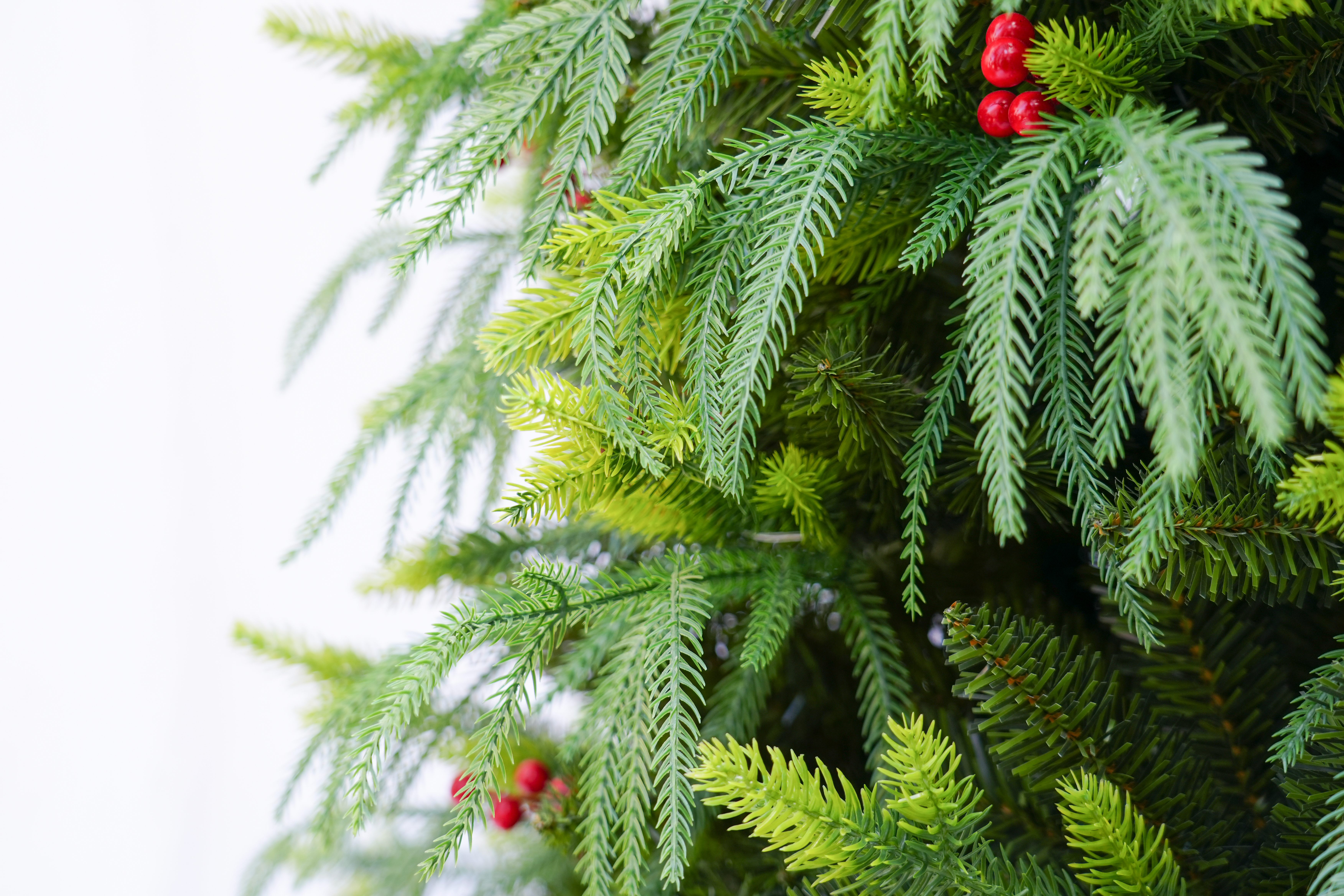 2025 New model Jinda Factory direct sales 1.2m-3m willow leaf PE mixed PVC automatic Christmas tree with pinecone red fruit Specification image