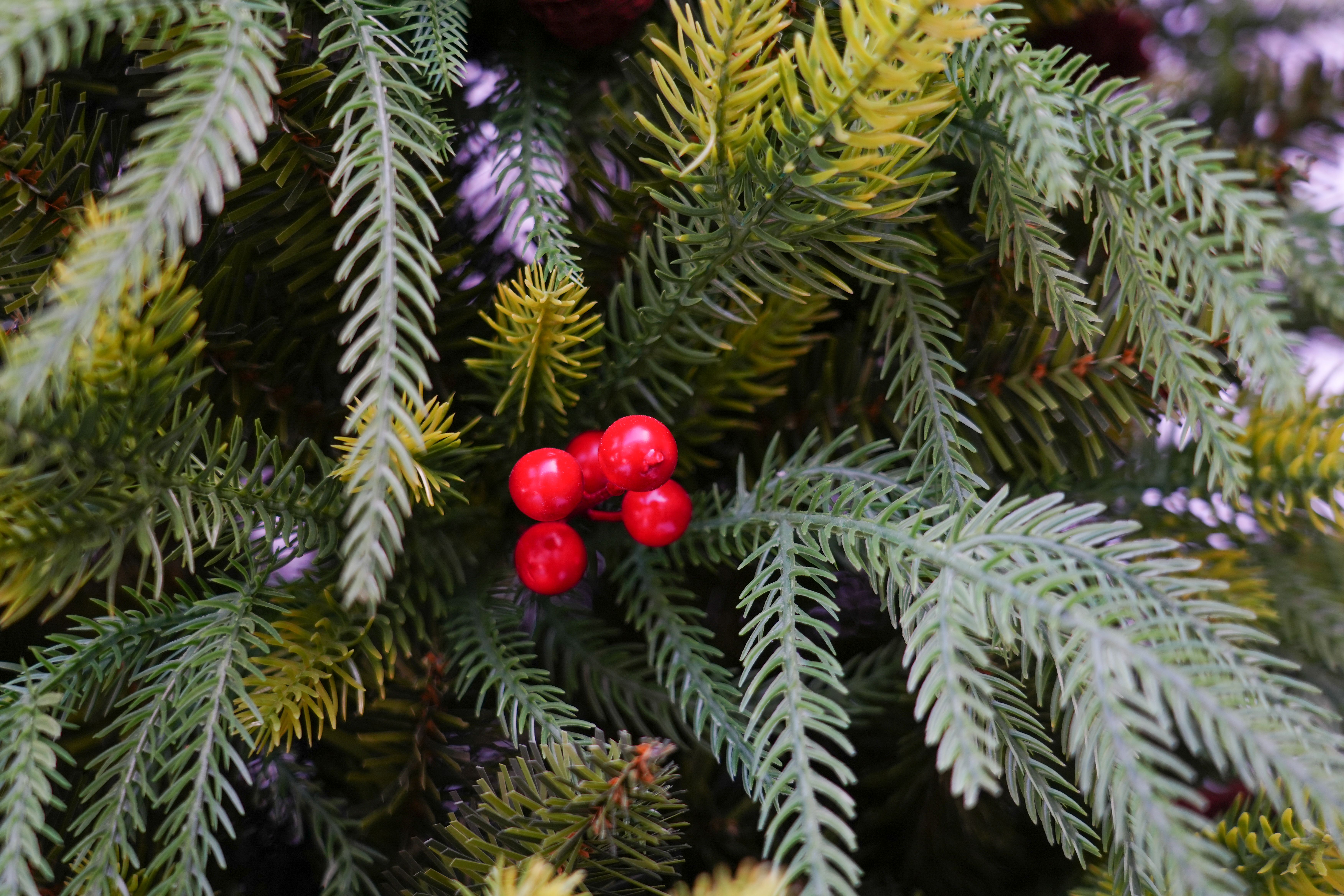 2025 New model Jinda Factory direct sales 1.2m-3m willow leaf PE mixed PVC automatic Christmas tree with pinecone red fruit details Picture