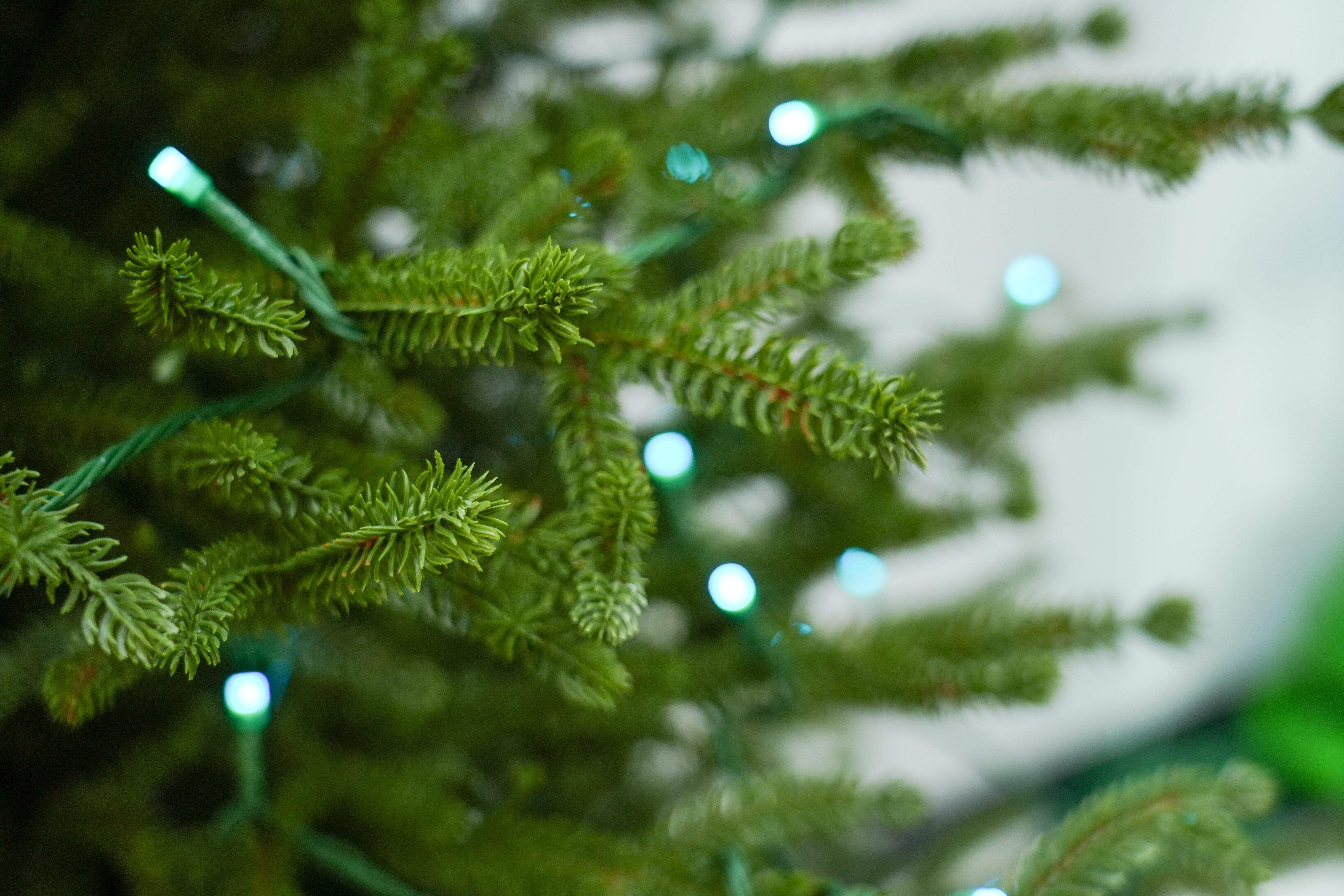 2025 New model 1.2-3-meter five-pronged PE automatic Christmas tree with LED lights, Christmas tree source factory details Picture