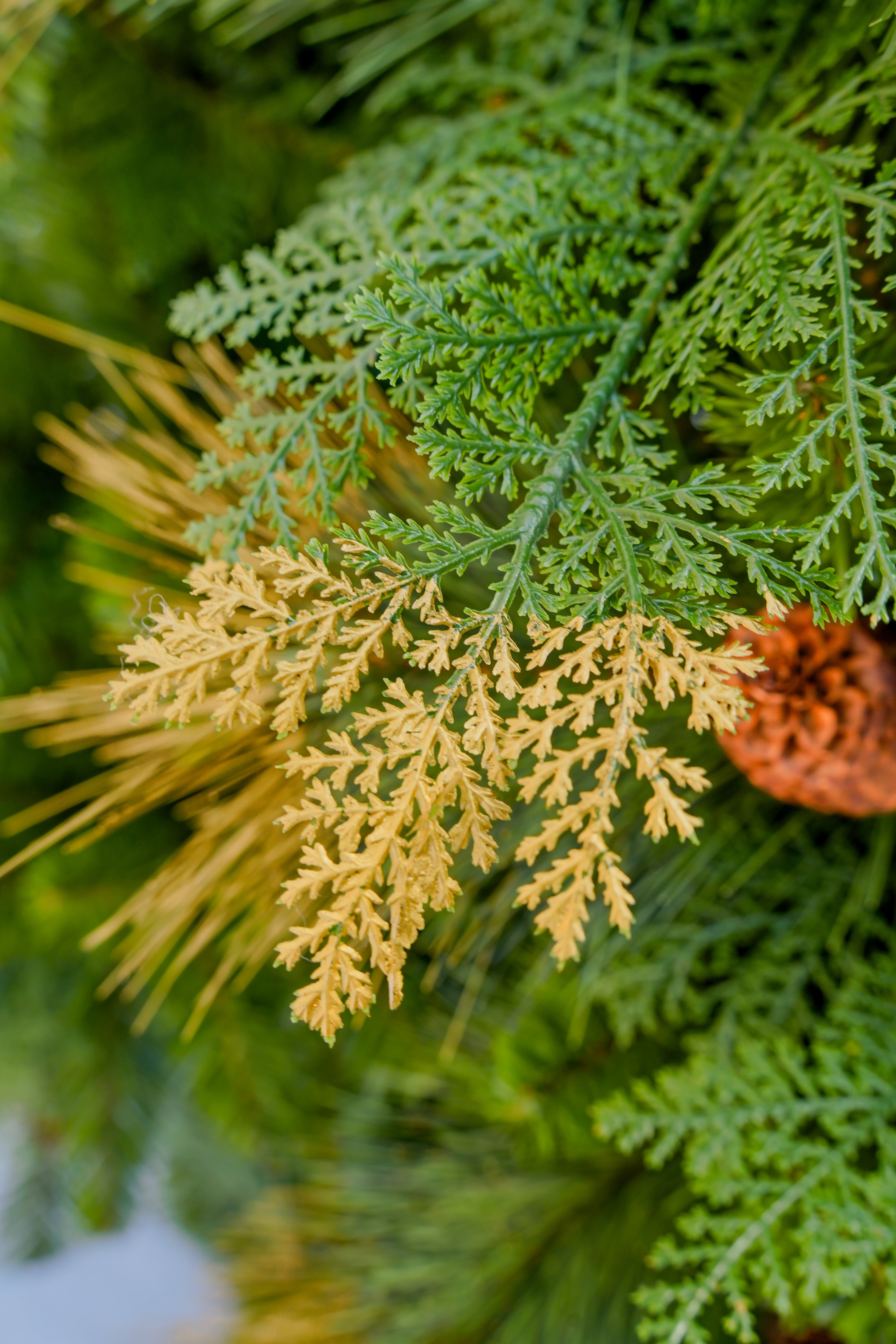 The 2025 new model of golden PET pine needle mixed PE/PVC simulation automatic Christmas tree is a cross-border bestseller with direct supply from the manufacturer Application Scenario