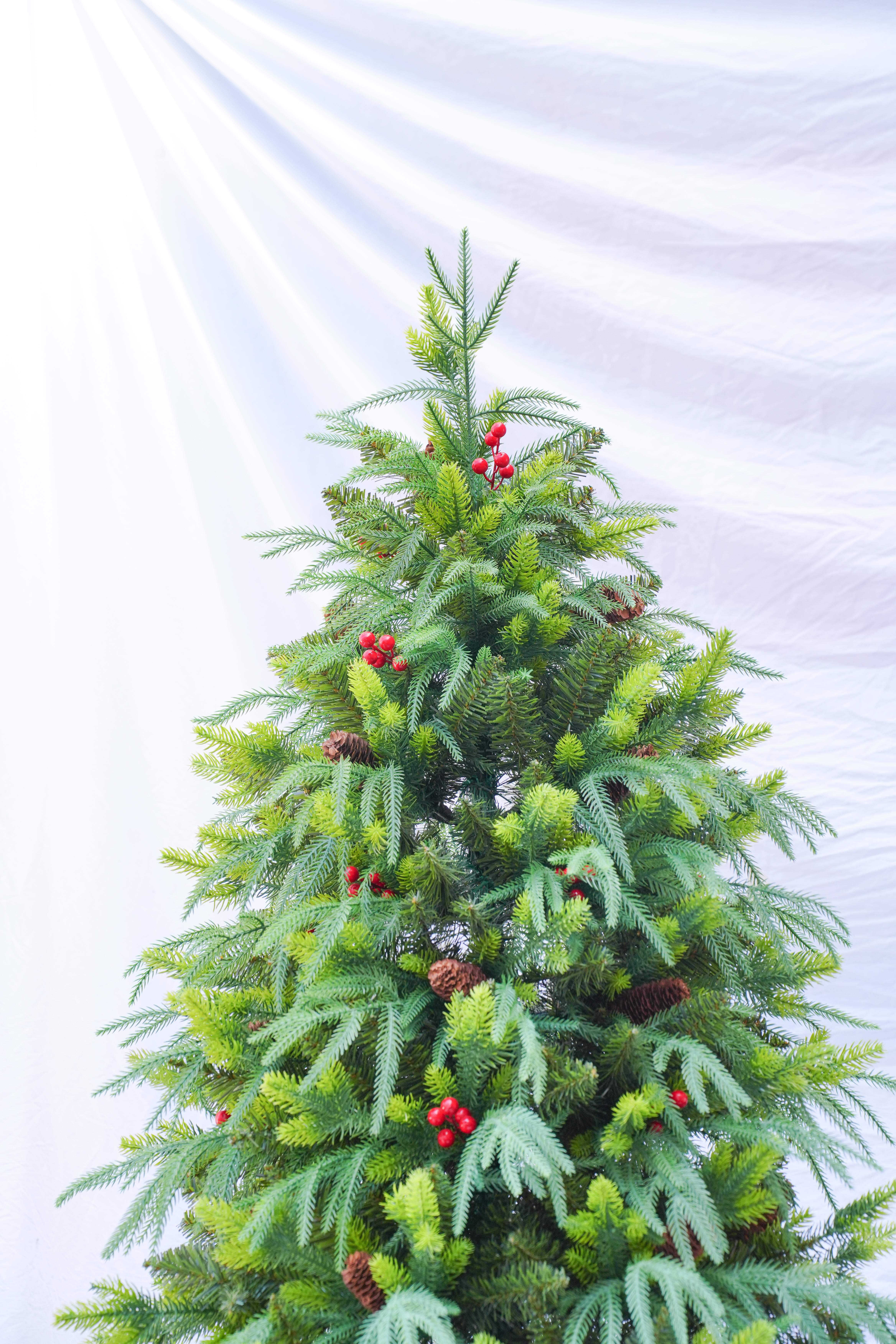 2025 New model Jinda Factory direct sales 1.2m-3m willow leaf PE mixed PVC automatic Christmas tree with pinecone red fruit Item Picture