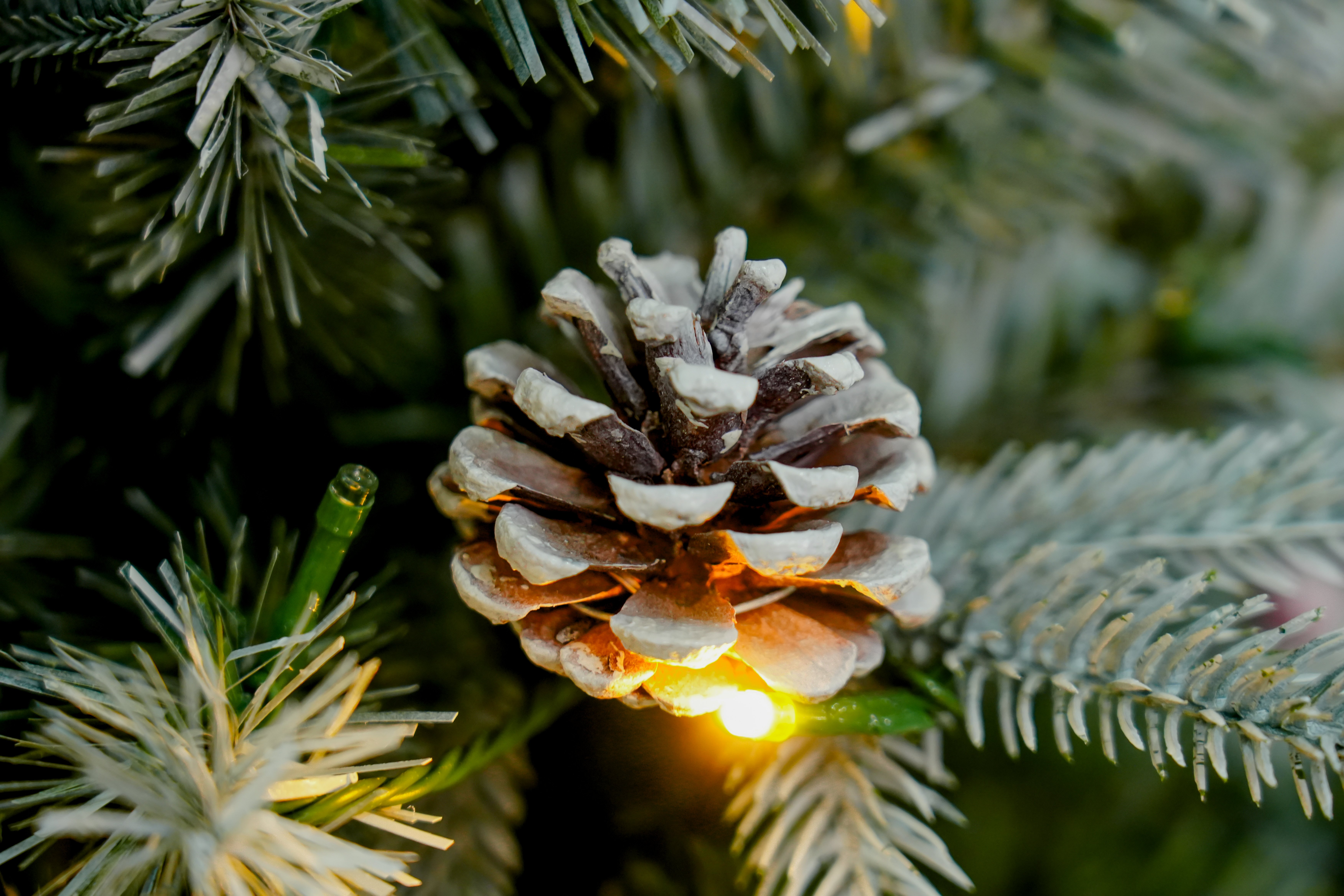 2025 New PE/PVC white-coated encrypted simulation Christmas tree, 1.2m-2.7m, direct sales from the source factory Application Scenario