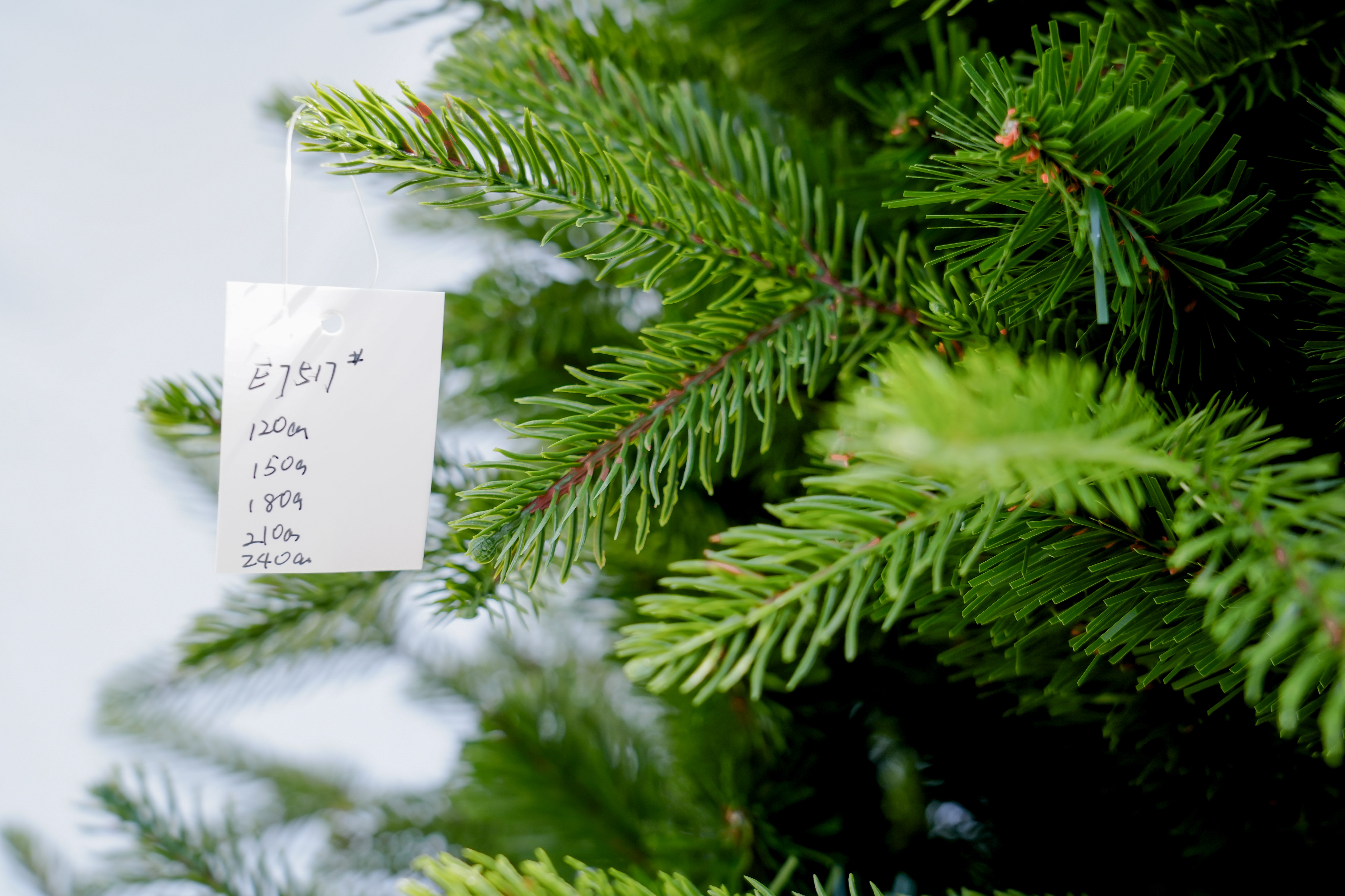 The 2025 new PE large encrypted 1.5-meter scene decoration Christmas green large 1.8-meter Christmas tree Item Picture