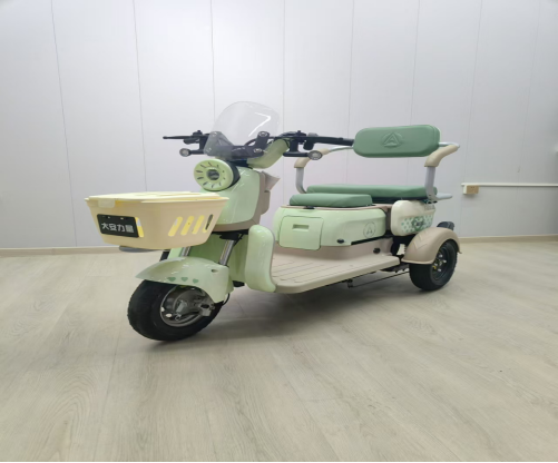 其他电动车实物图