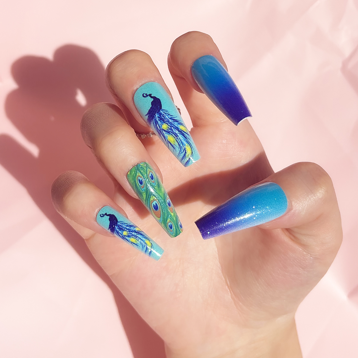 24 PCS PRESS ON NAIL TIPS LONG COFFIN SHAPE BLUE PEACOCK PATTERN Specification drawing