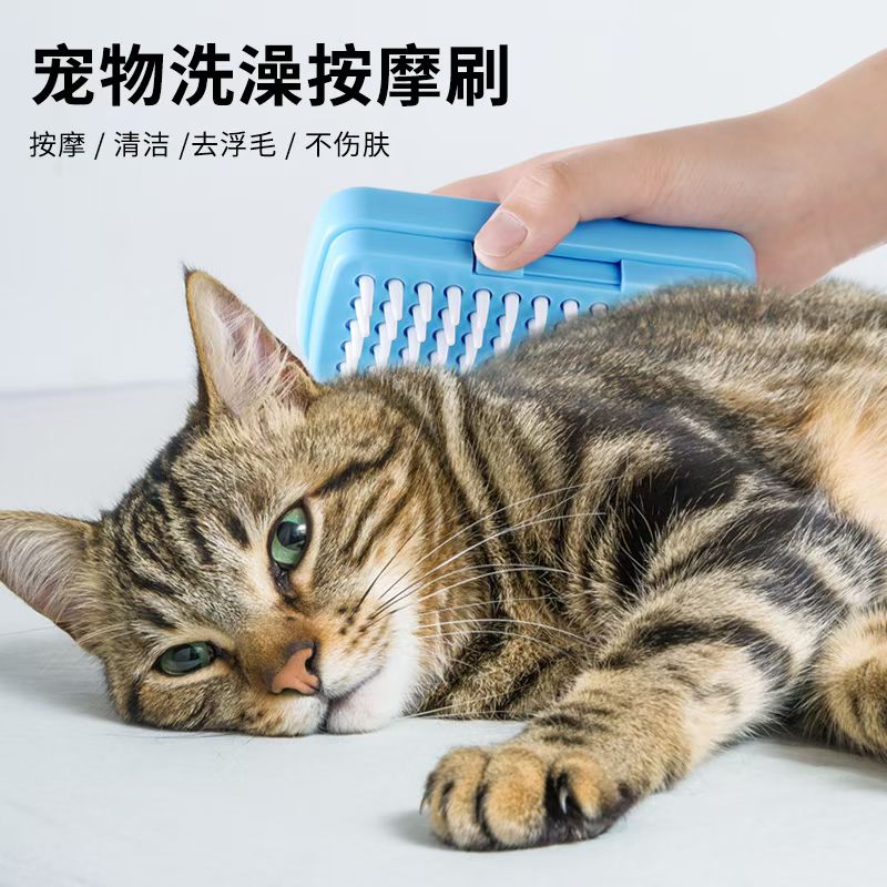 Portable telescopic comb, magic hair combing, cleaning without harming the scalp, hairdressing comb, smooth hair washing comb, pet brush details Picture