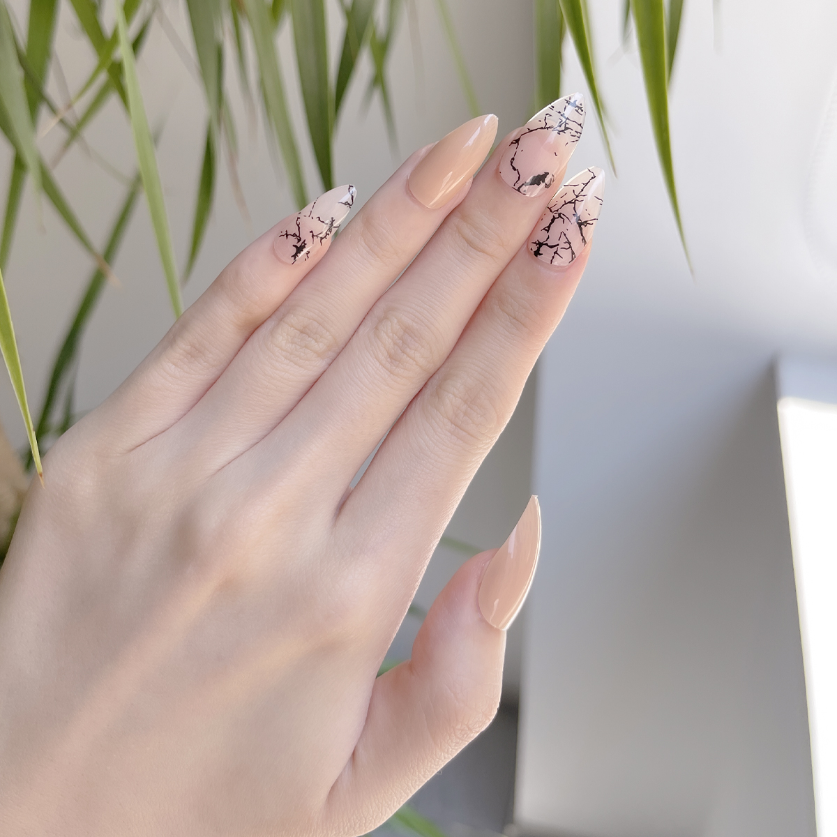 24 PCS PRESS ON NAIL TIPS STILETTO SHAPE NAKED BASE COLOR WITH BLACK LINES details Picture