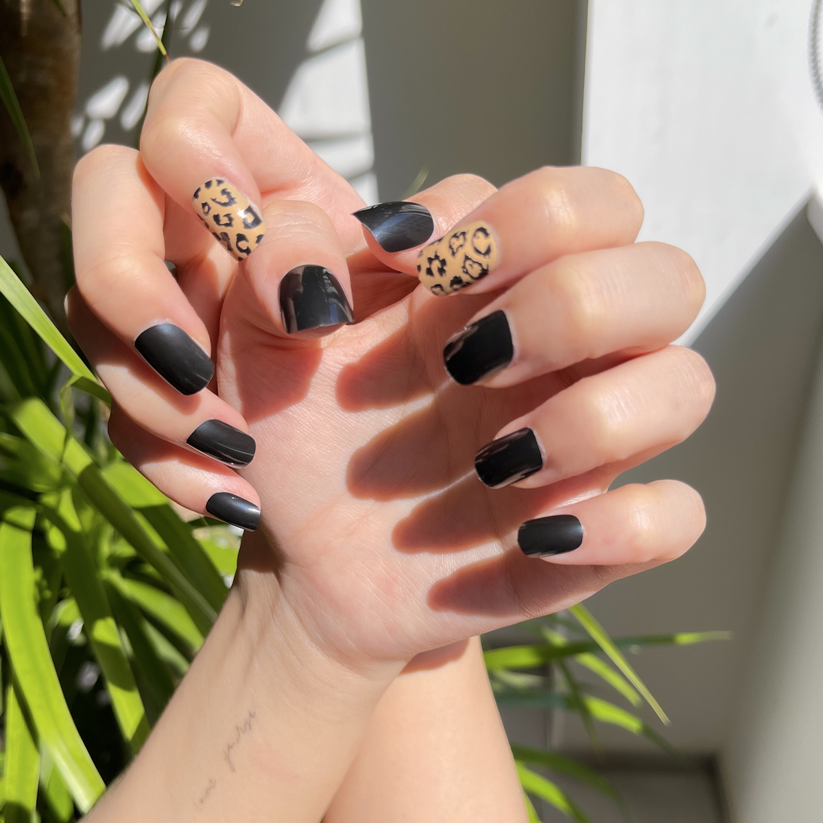 24 PCS PRESS ON NAIL TIPS ROUND SHAPE BLACK BASE COLOR LEOPARD PRINT  details Picture