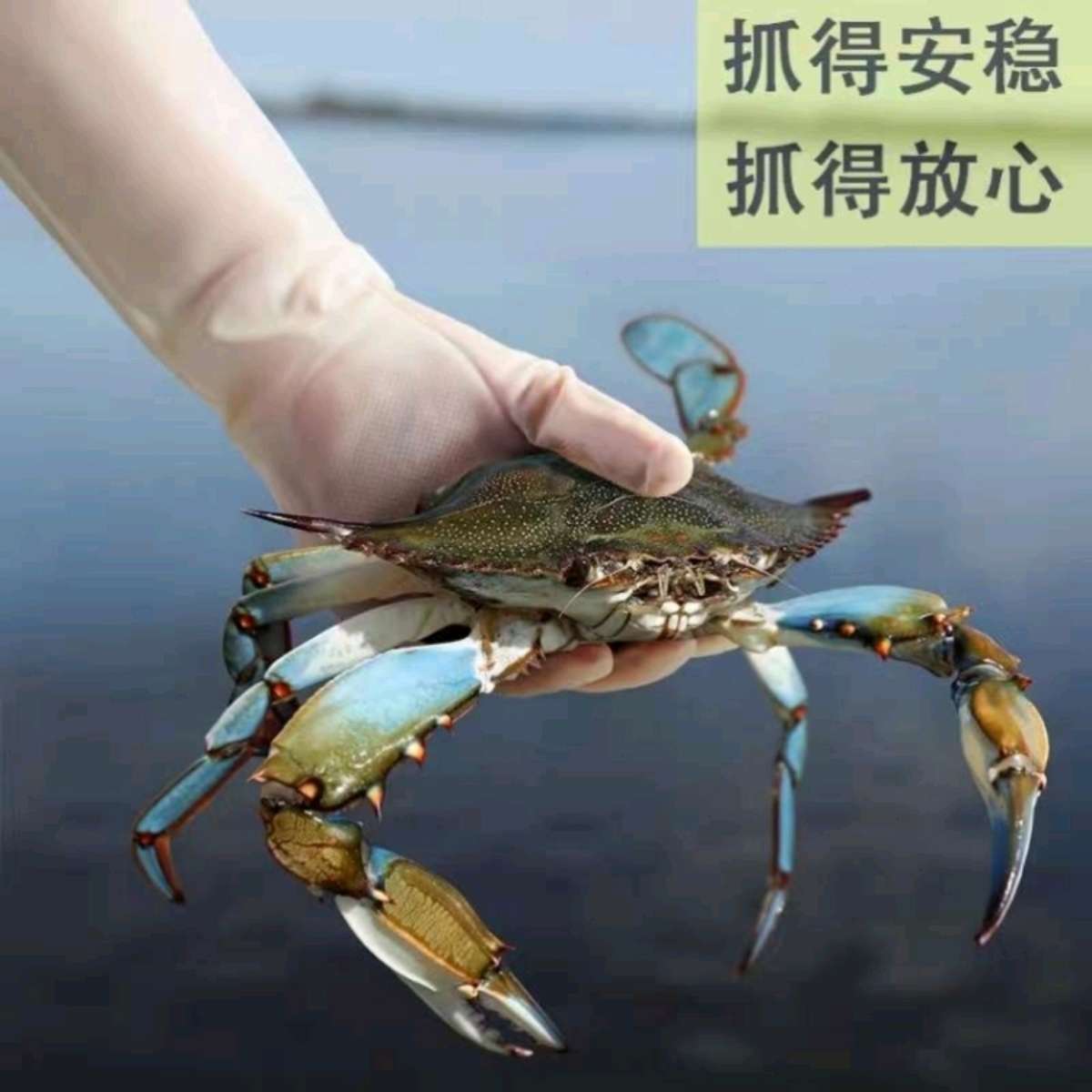 Medium-grade nitrile food-grade thickened, lengthened, thin oil-resistant and wear-resistant household dishwashing gloves that do not stick to oil details Picture