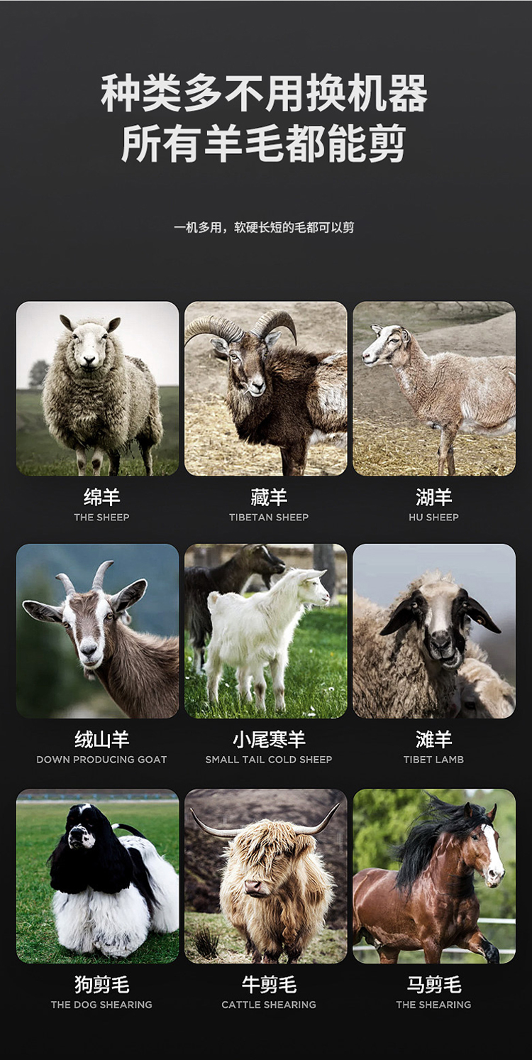 手持大功率电动羊毛剪省力电剪刀剃羊毛的电推子剃毛器新款剪毛机详情3