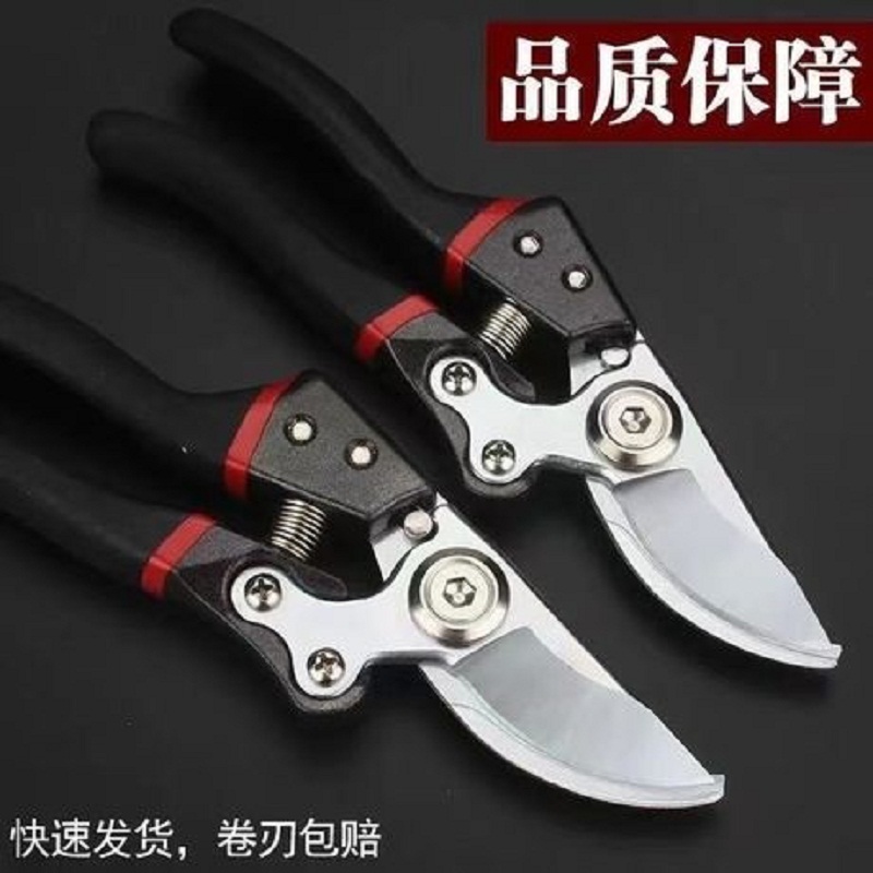 园林剪刀园艺工具省力剪园林工具