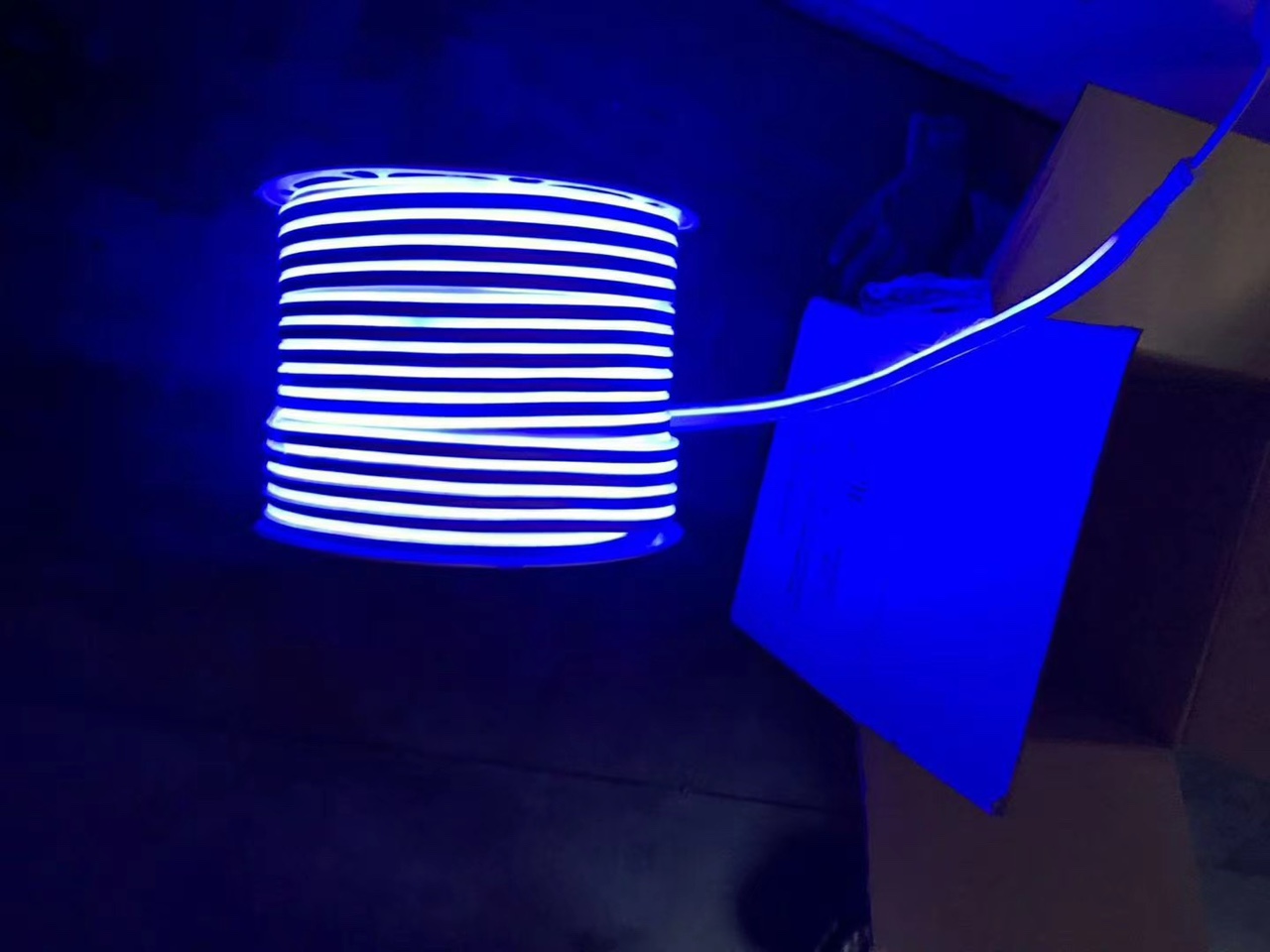 霓虹灯 蓝色 1101