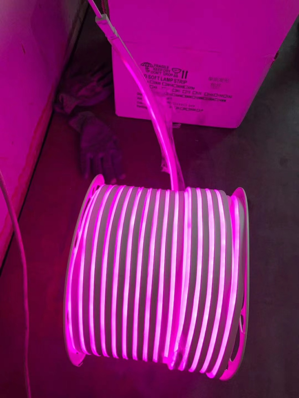 霓虹灯 橘色 1101234214