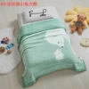 2025 New style mink fleece casual children's blanket, infant and toddler cloud children's blanket, cartoon air conditioner baby thickened small cover blanket Item Picture