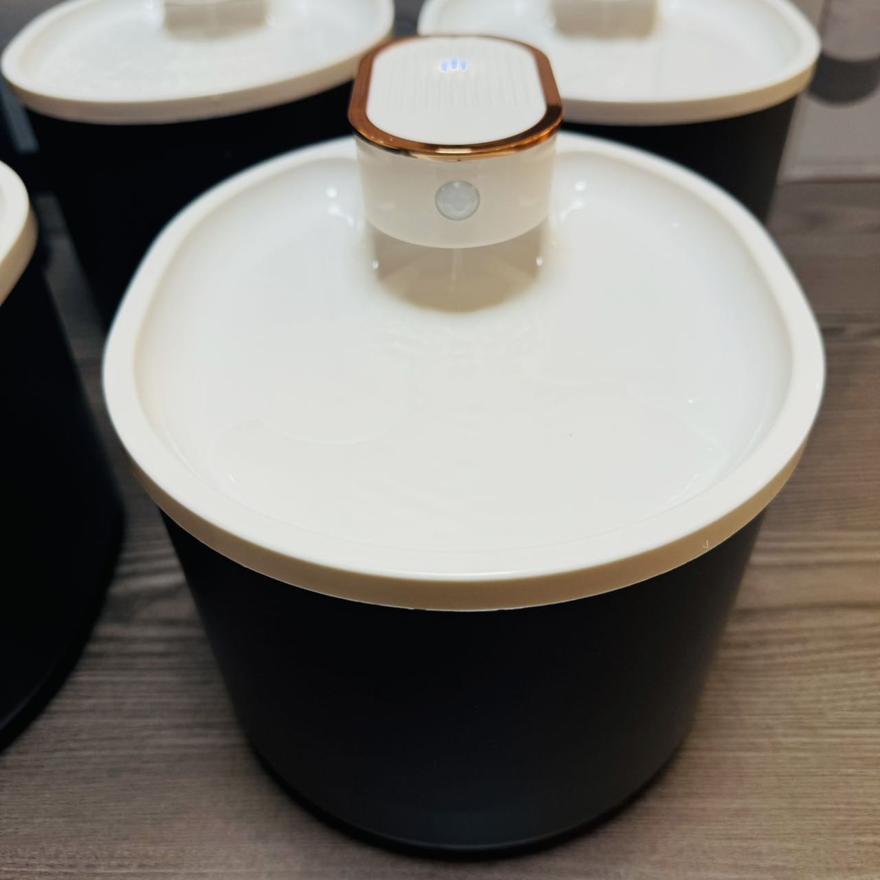 宠物/宠物用品/智能宠物用品/喂食器/宠物用品户外细节图