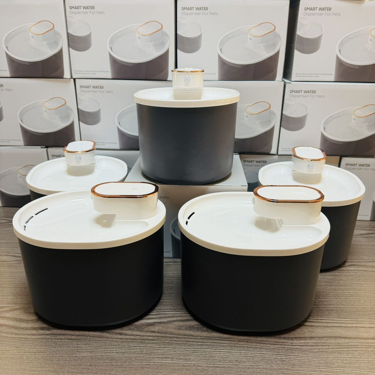 宠物/宠物用品/智能宠物用品/喂食器/宠物用品户外产品图